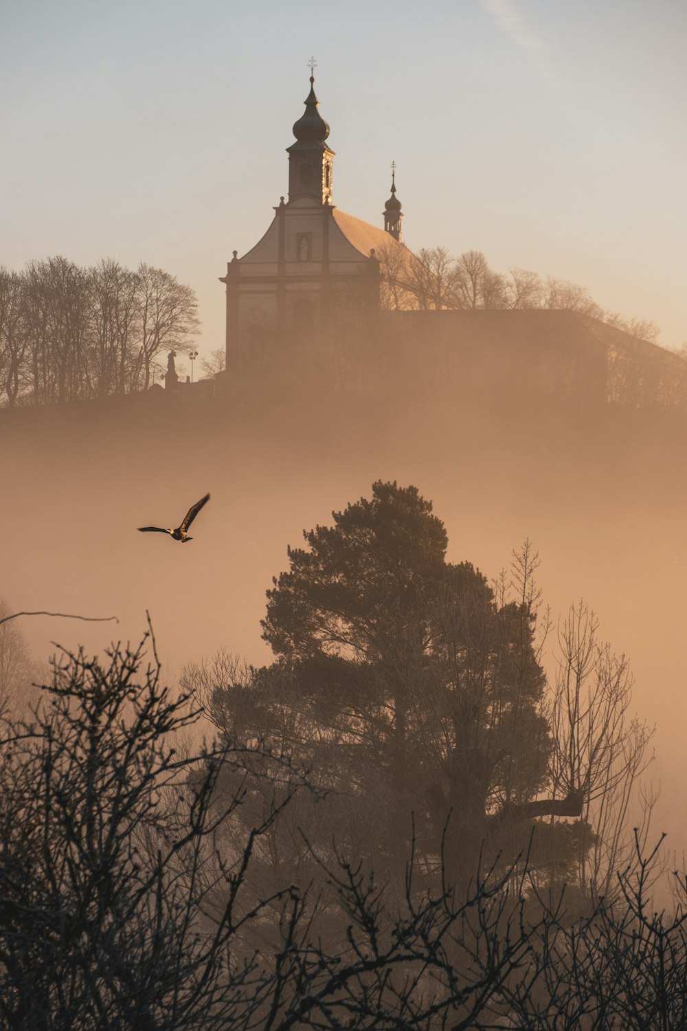 a bird flying in front of a church on a hill