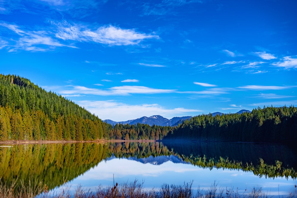 Un lago circondato da una foresta con montagne sullo sfondo