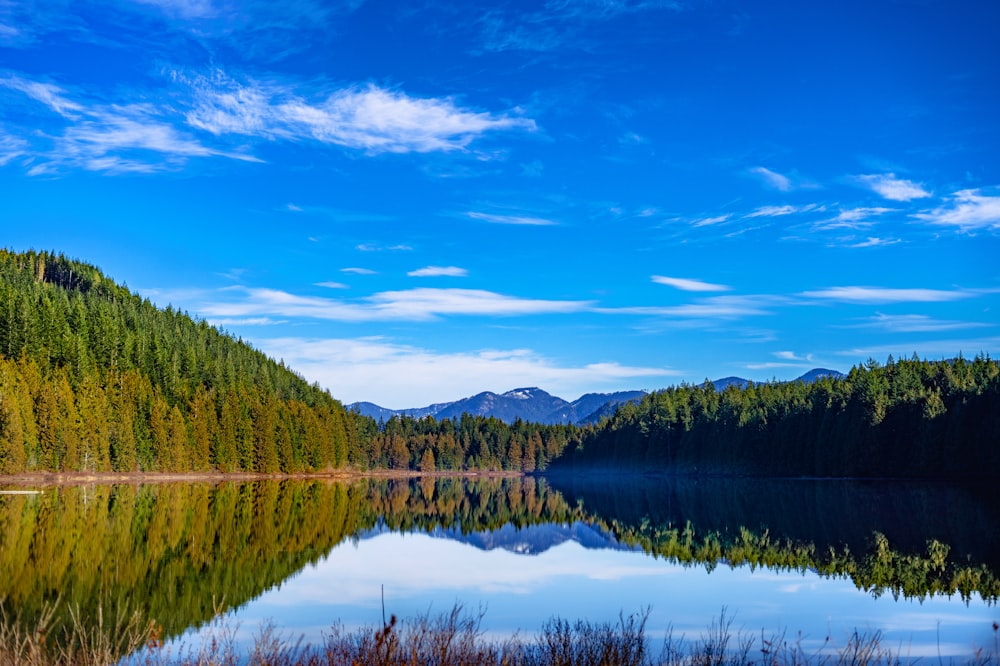 a lake surrounded by a forest with mountains in the background