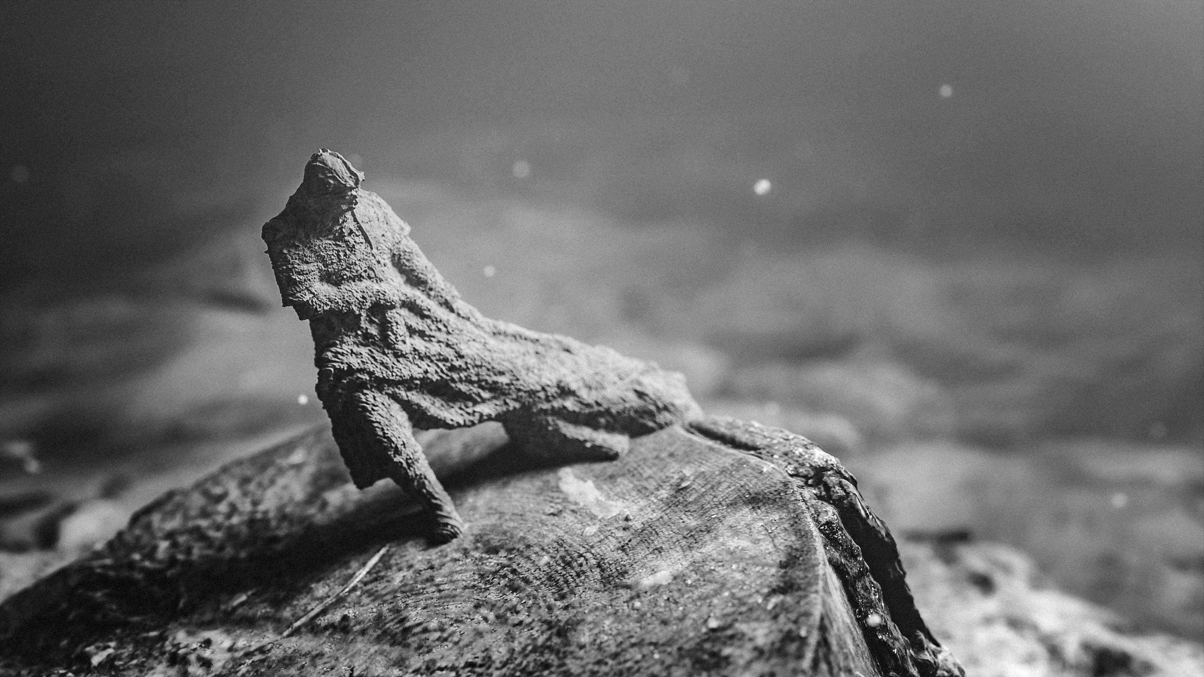 Photo by marekpiwnicki