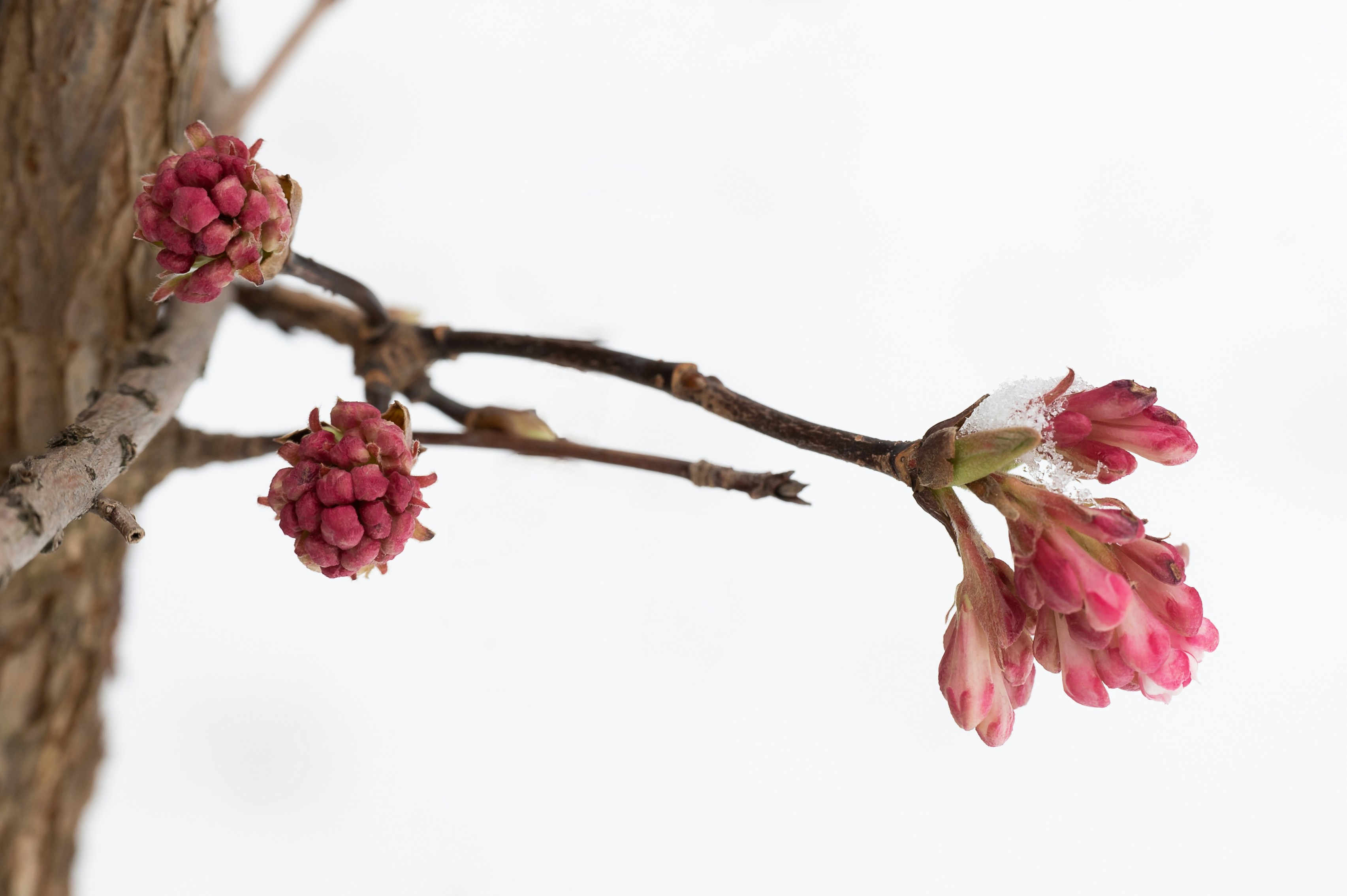 Photo by carrie_borden