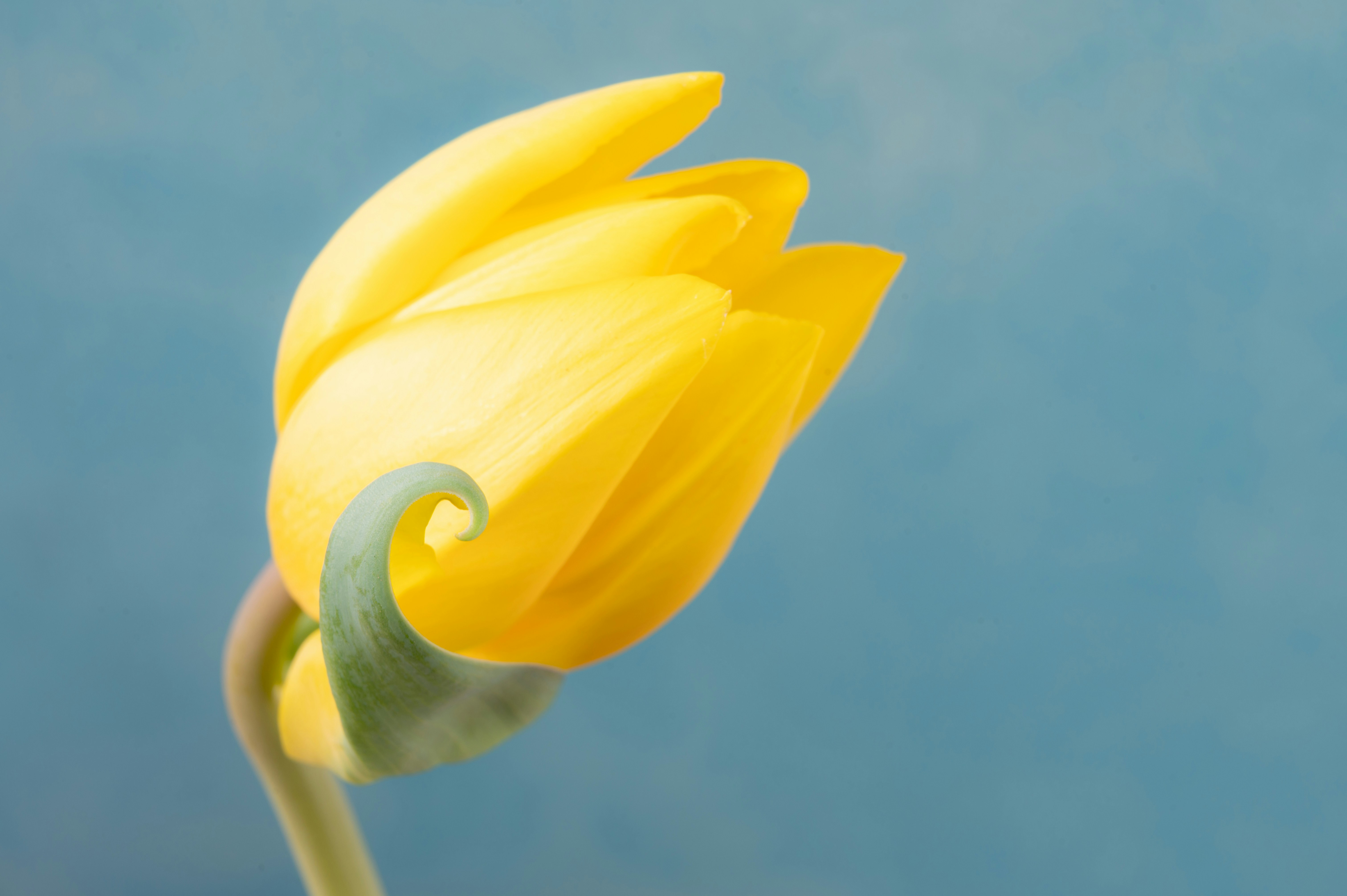 Photo by carrie_borden