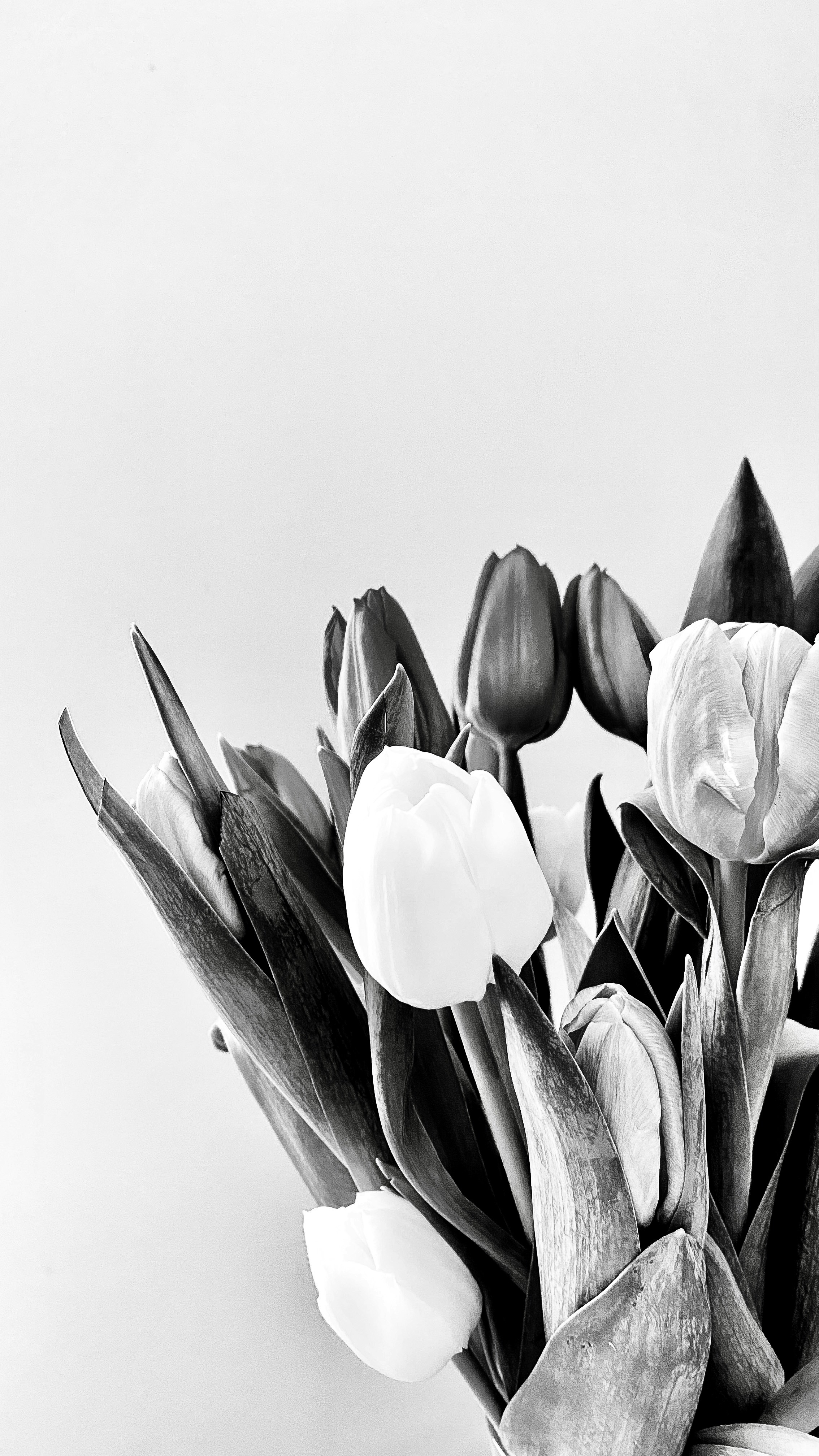 Photo by nikko_khorrami