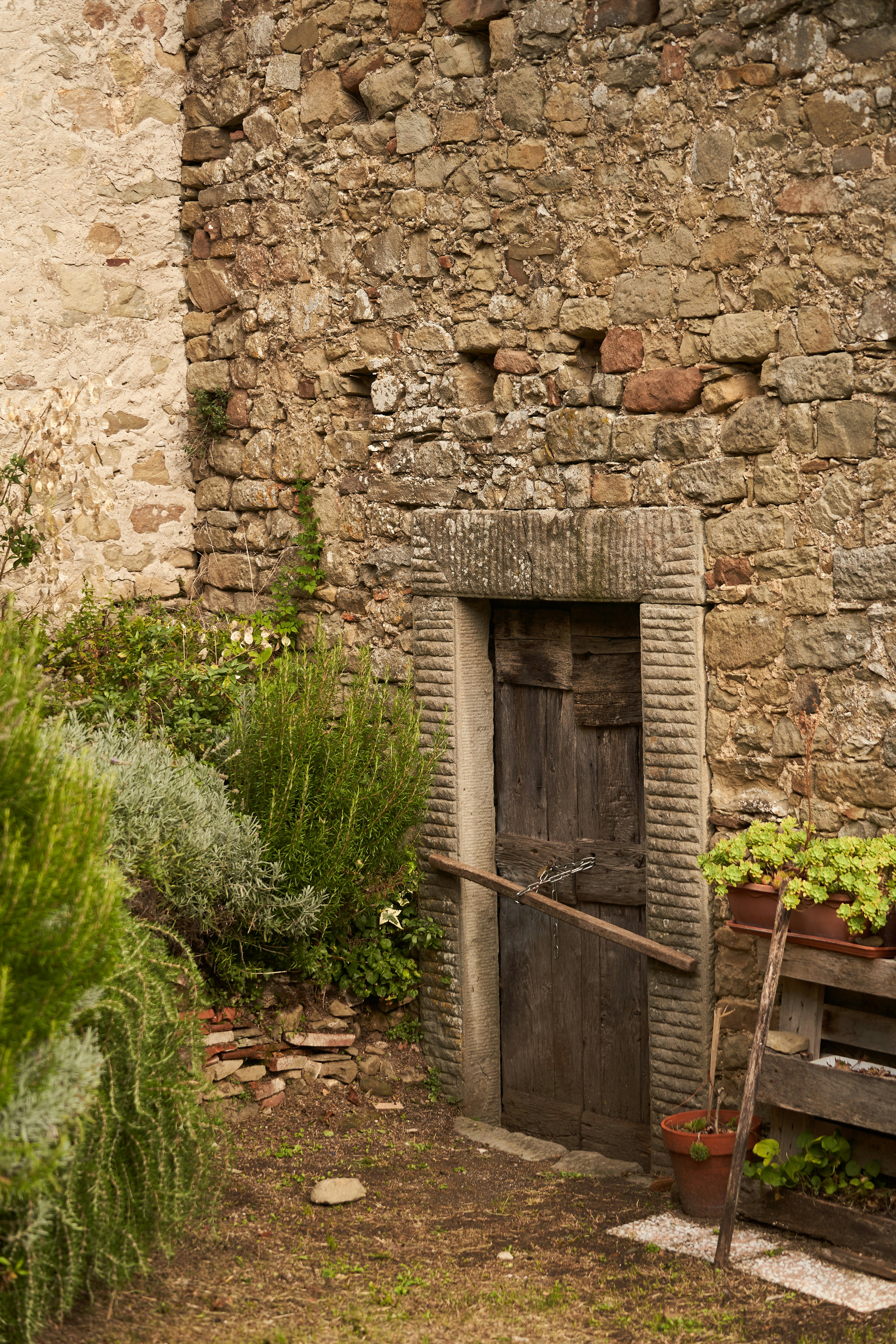 Photo by wolfgang_hasselmann