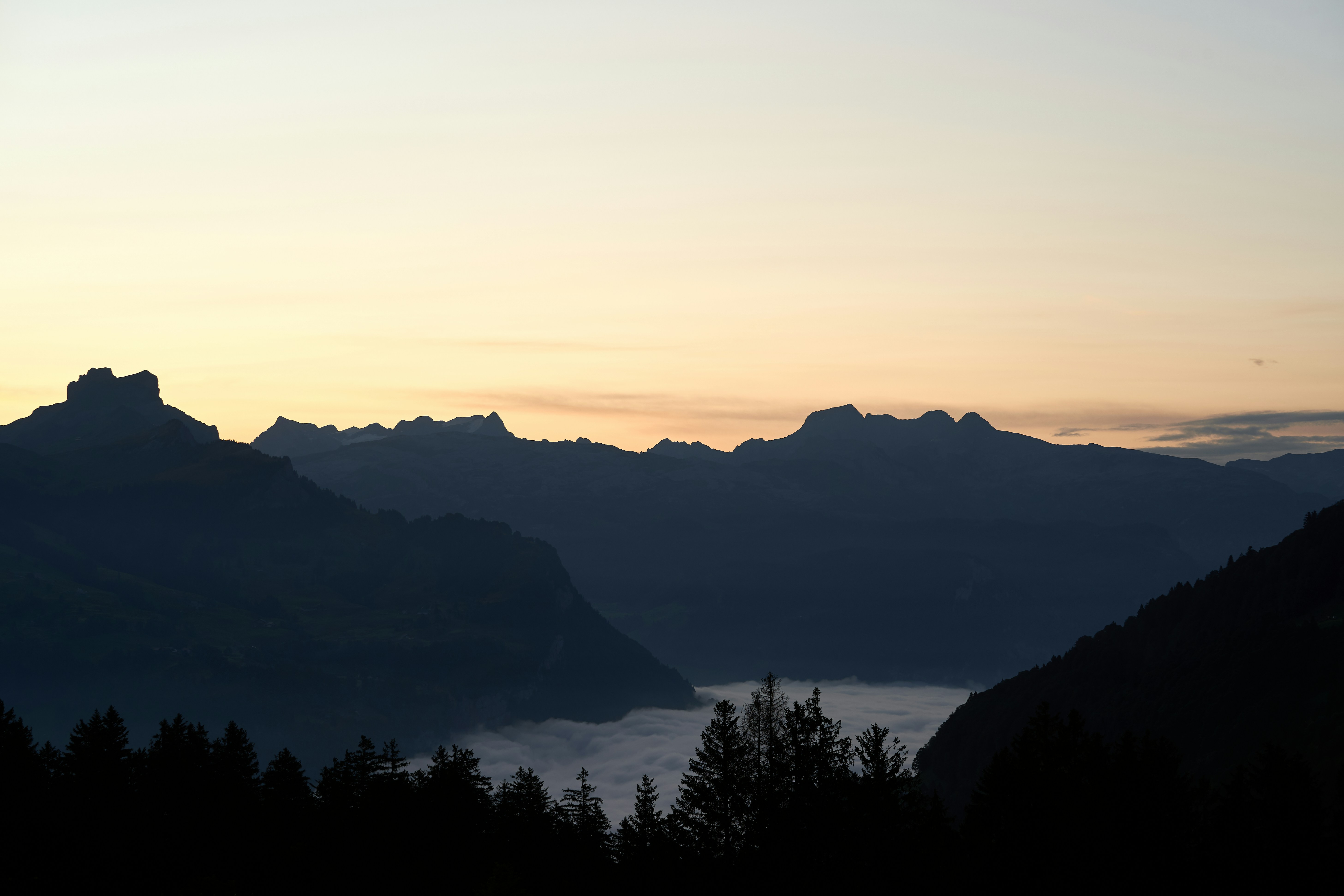 Photo by wolfgang_hasselmann