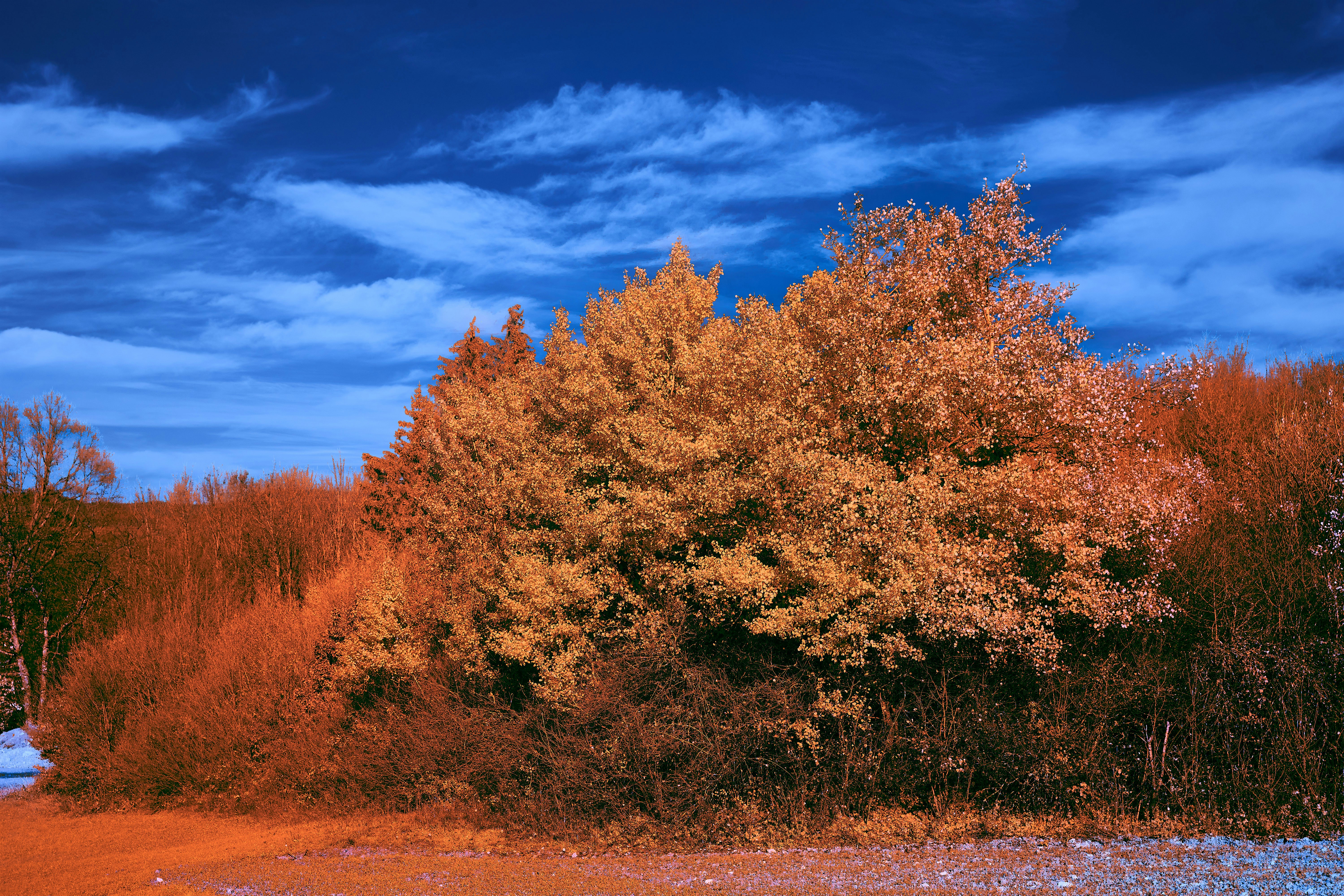 Photo by wolfgang_hasselmann