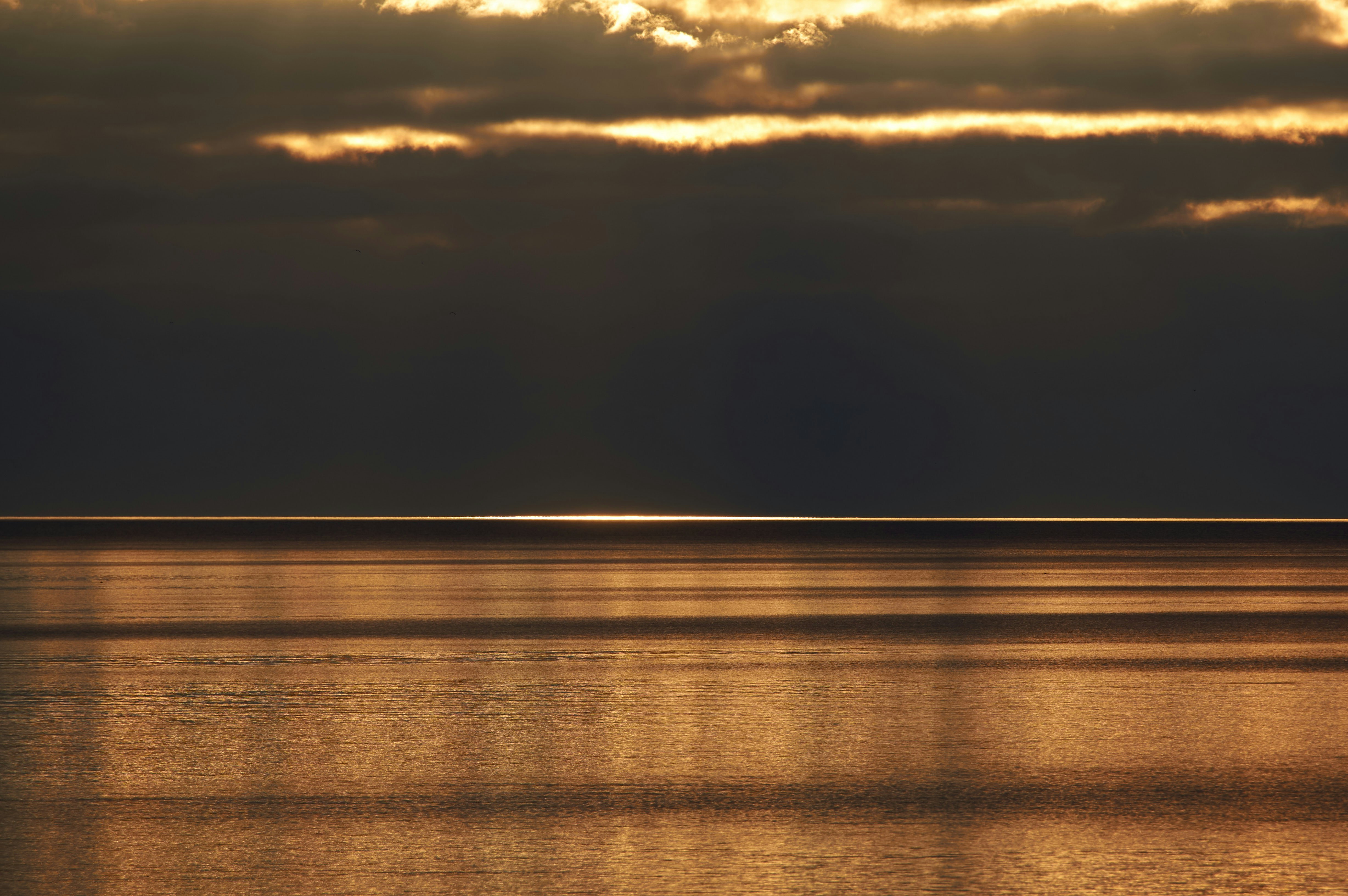 Photo by wolfgang_hasselmann