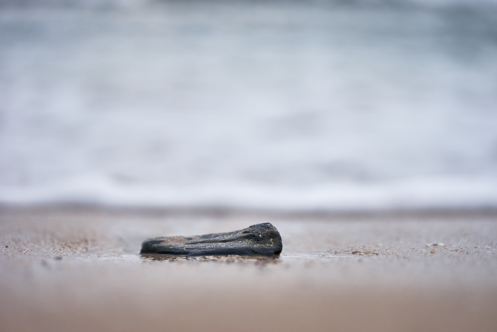 a close up of a rock on a beach near the ocean