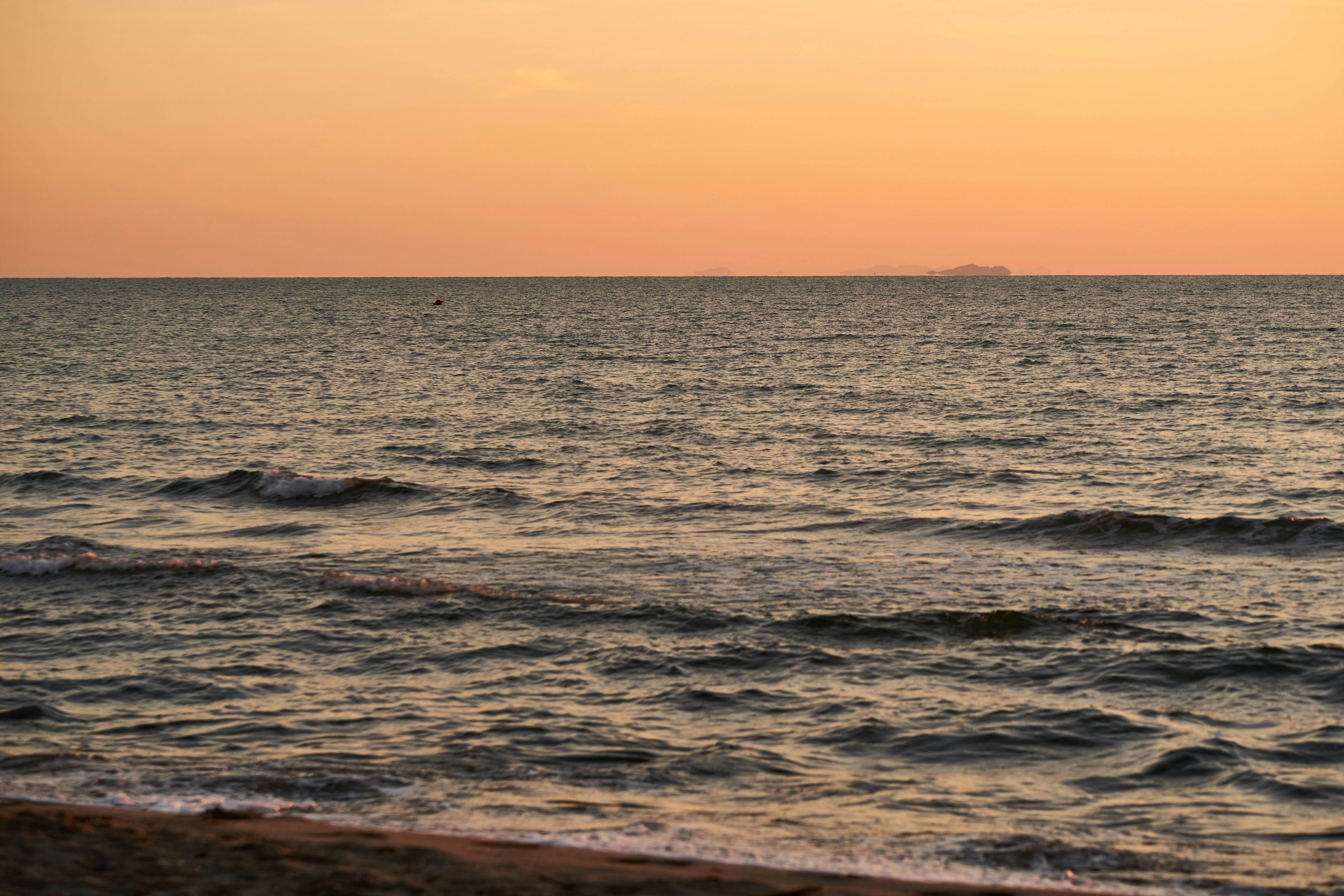 Photo by wolfgang_hasselmann