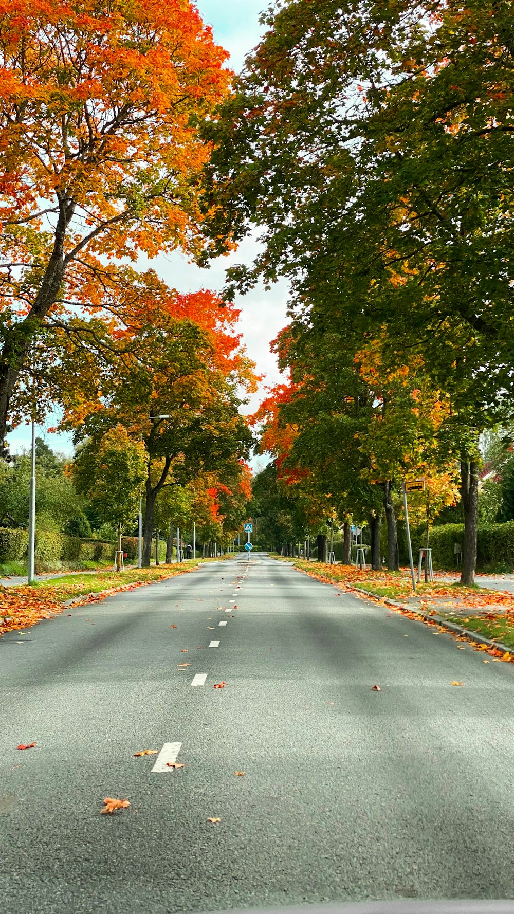 an empty road surrounded by trees with orange leaves