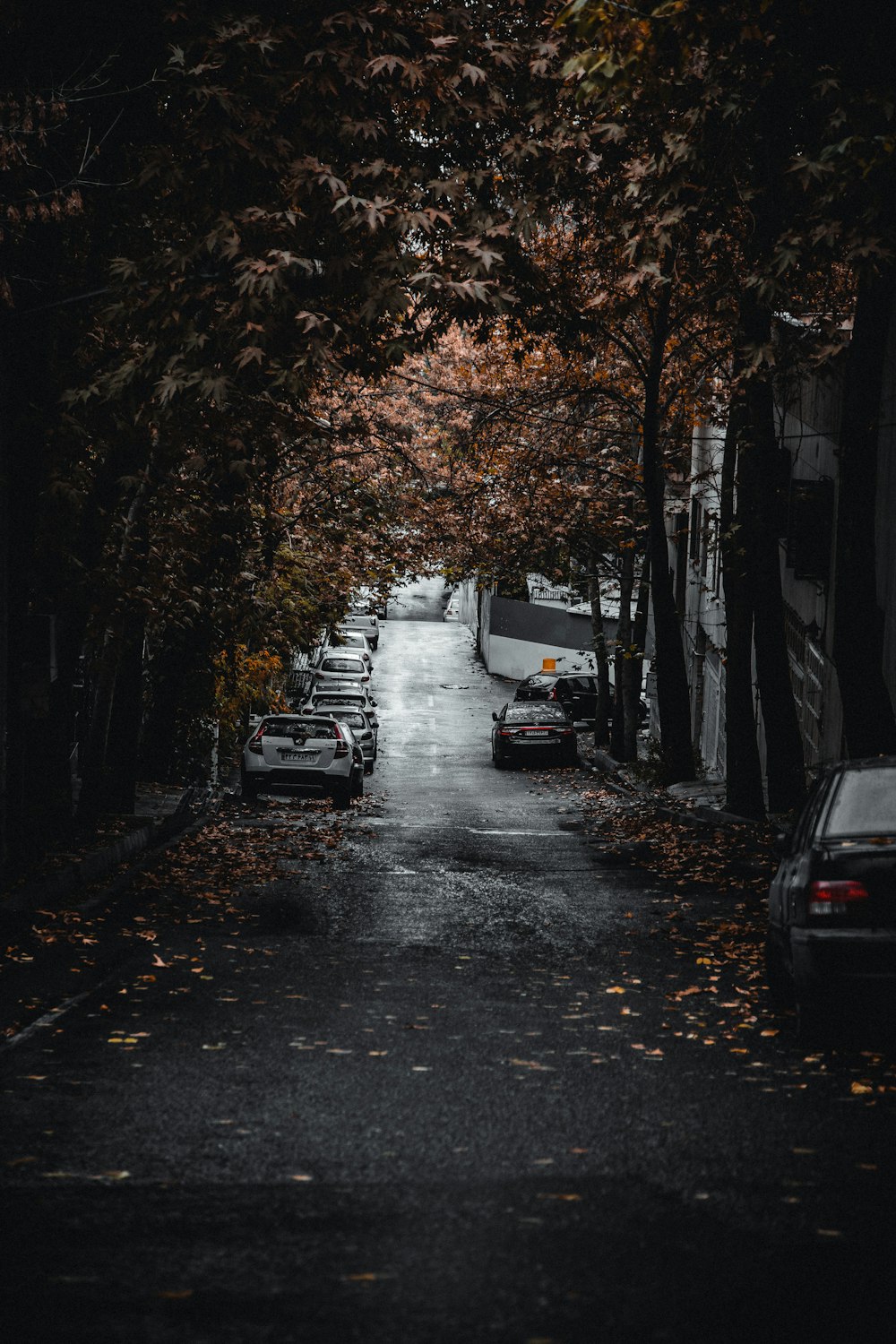 Eine dunkle Straße mit geparkten Autos und Bäumen
