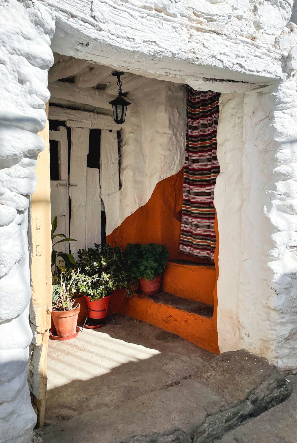 a doorway with potted plants in front of it