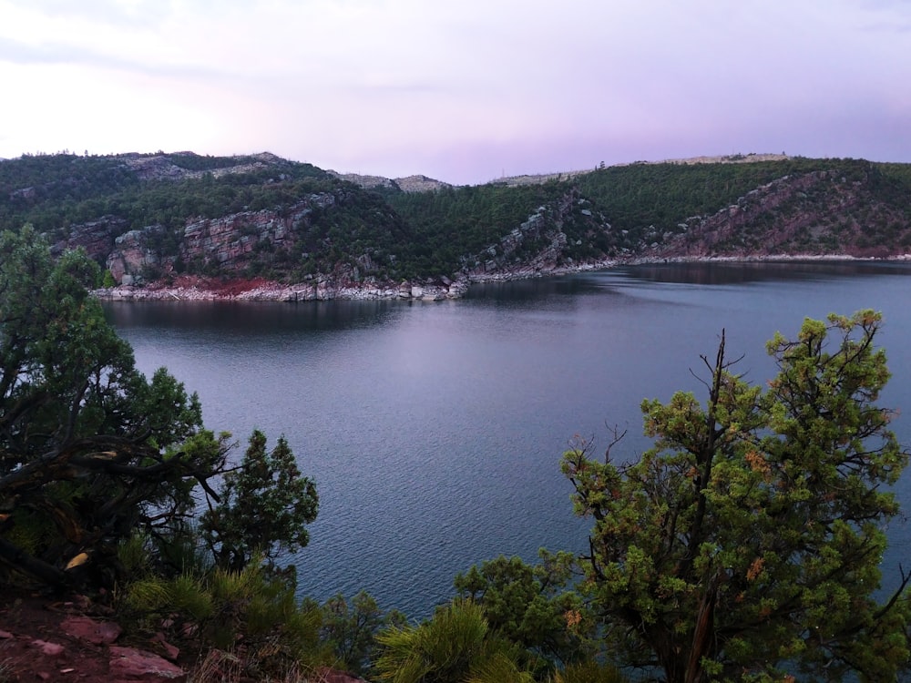 a large body of water surrounded by trees