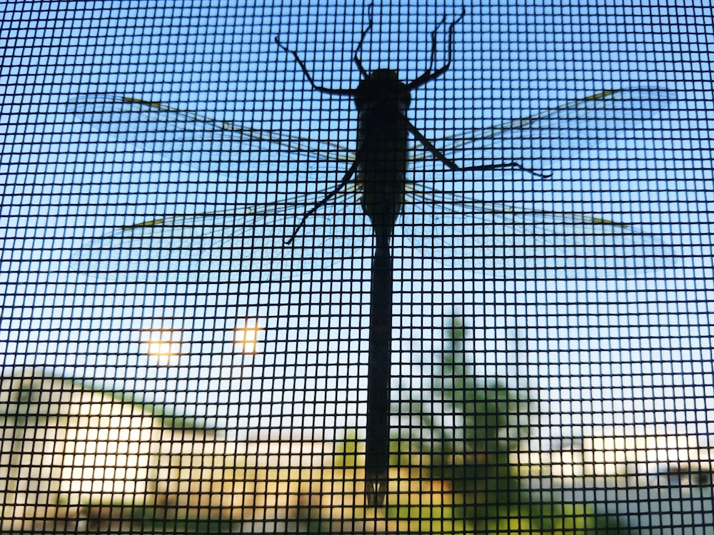 a large insect sitting on top of a metal pole