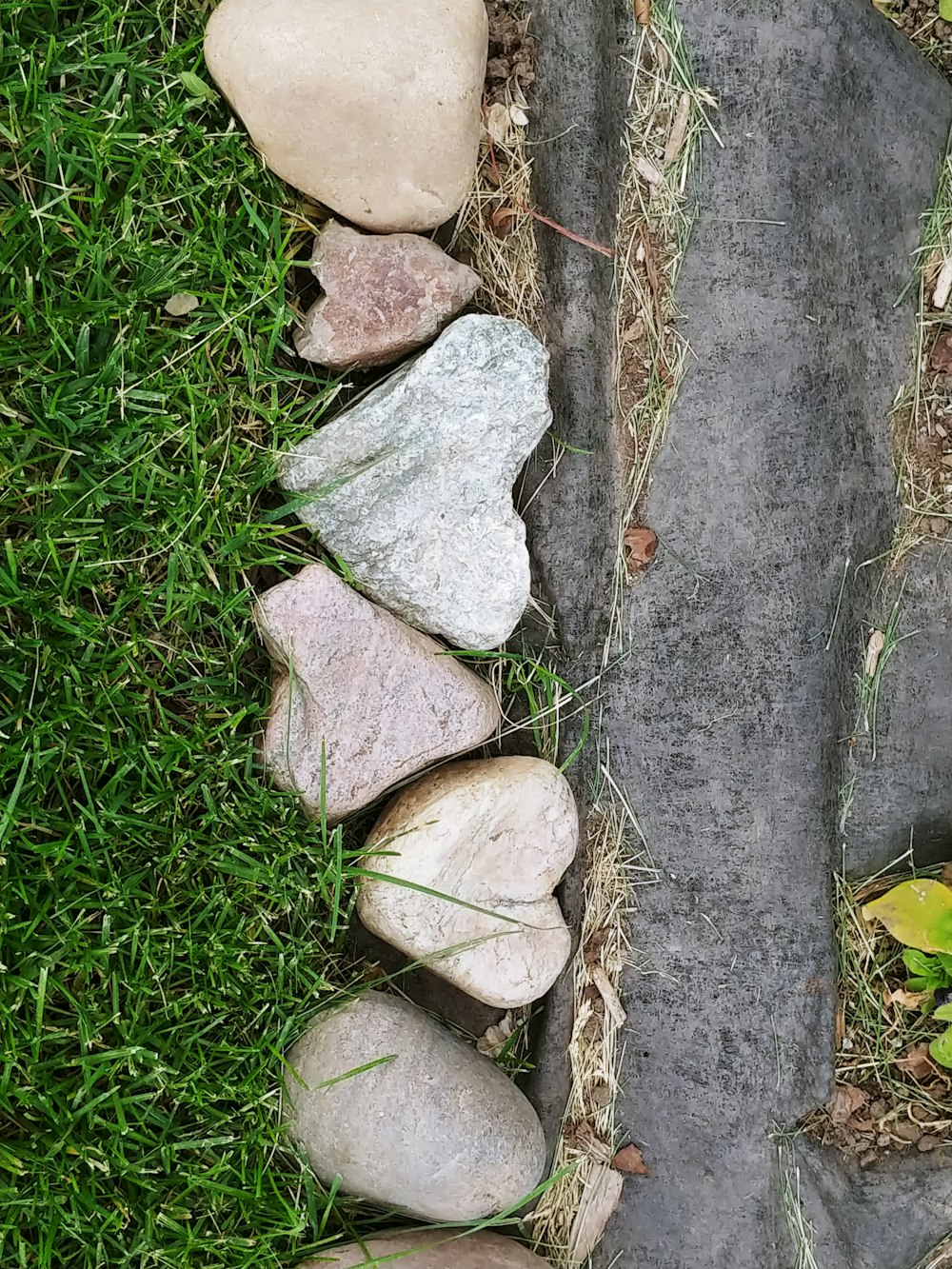a bunch of rocks sitting in the grass
