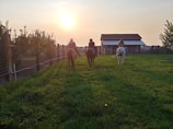 Smiling riders dismounting near the rustic ranch barn after a scenic trail ride