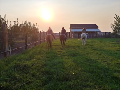 Smiling riders dismounting near the rustic ranch barn after a scenic trail ride