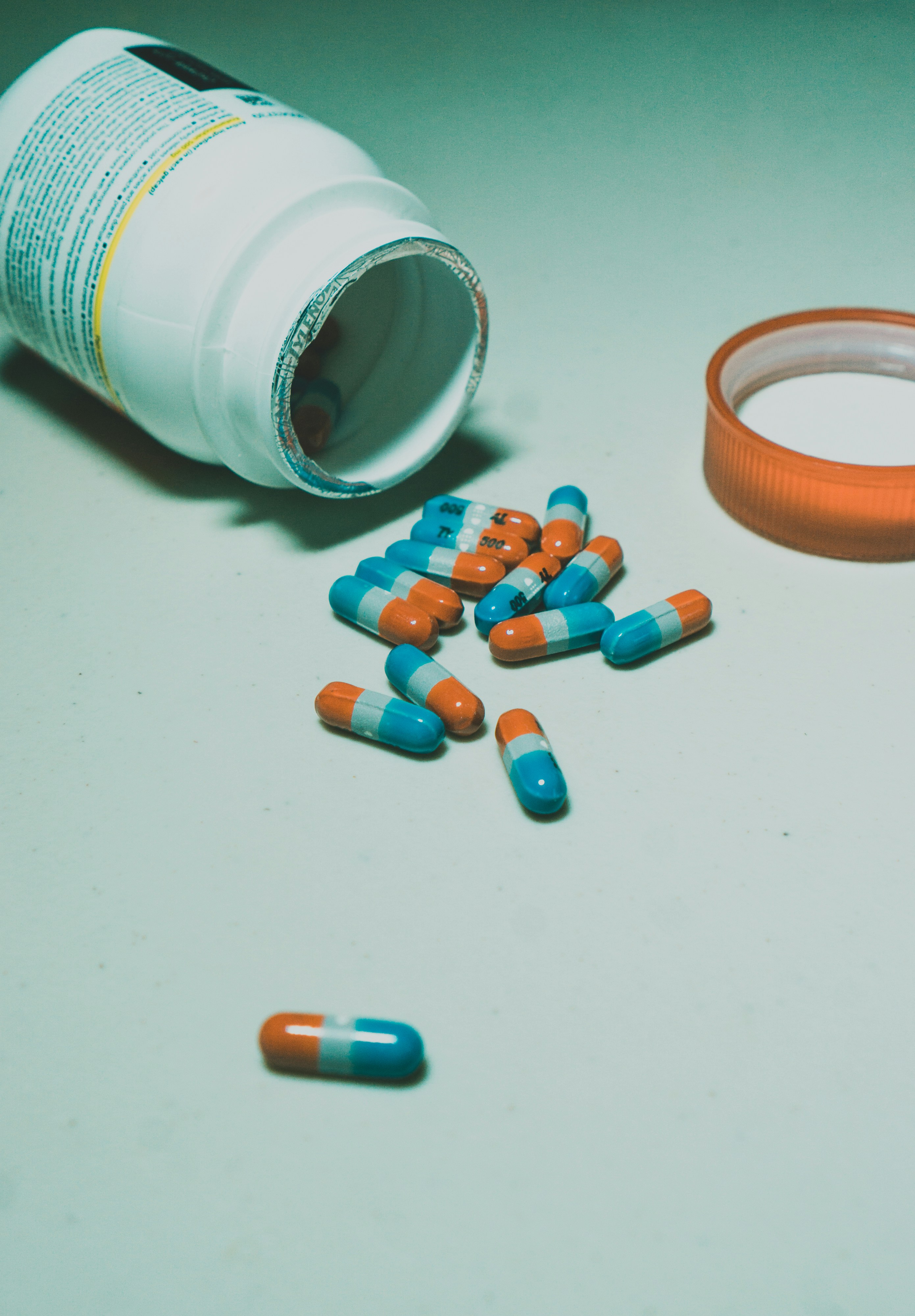 Photo by drizzy_bear86