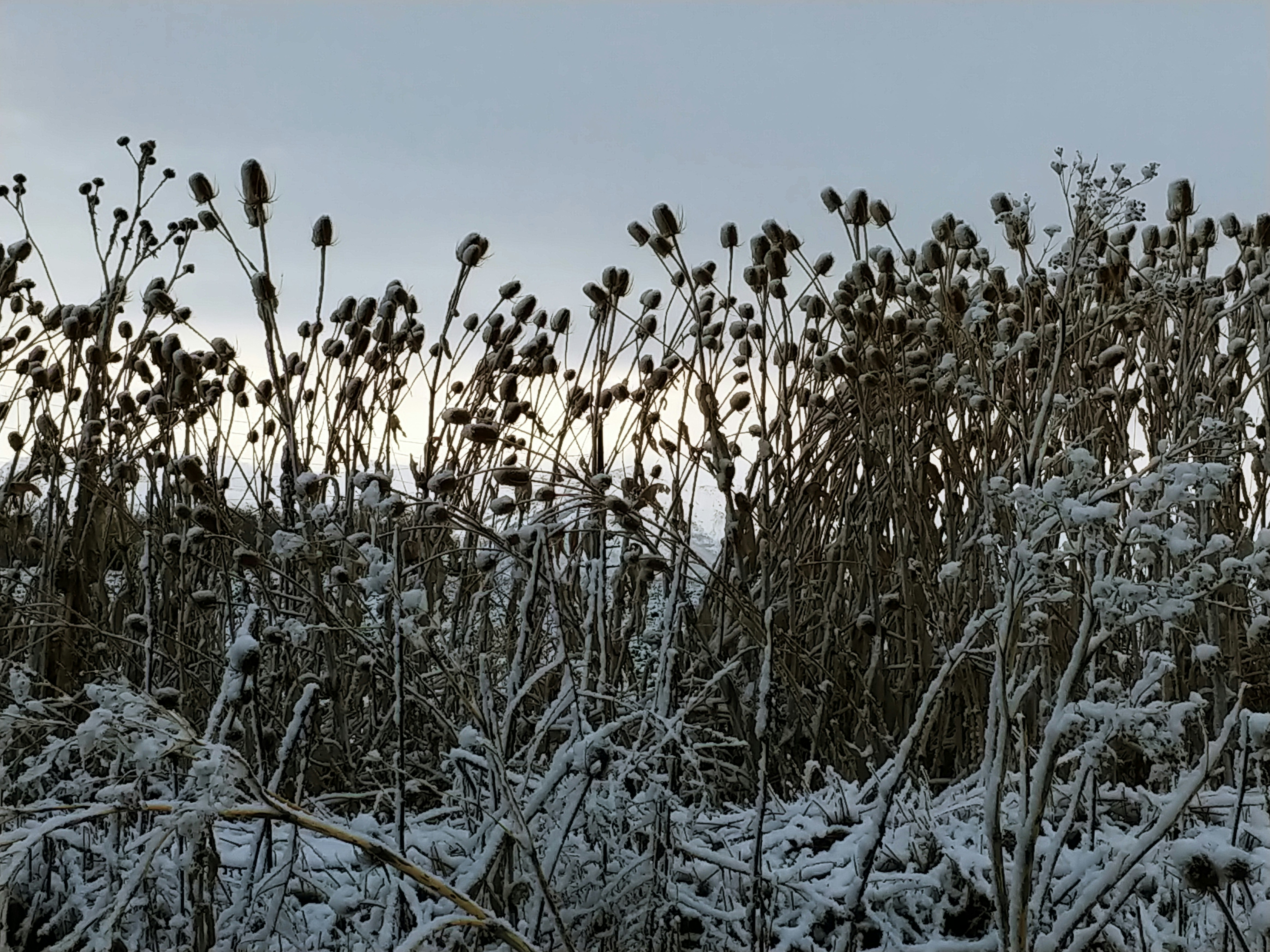 Photo by turtleracer