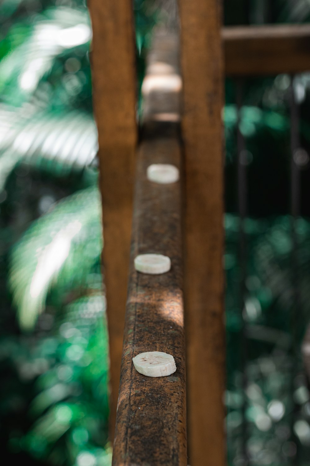 a close up of a wooden rail with white buttons