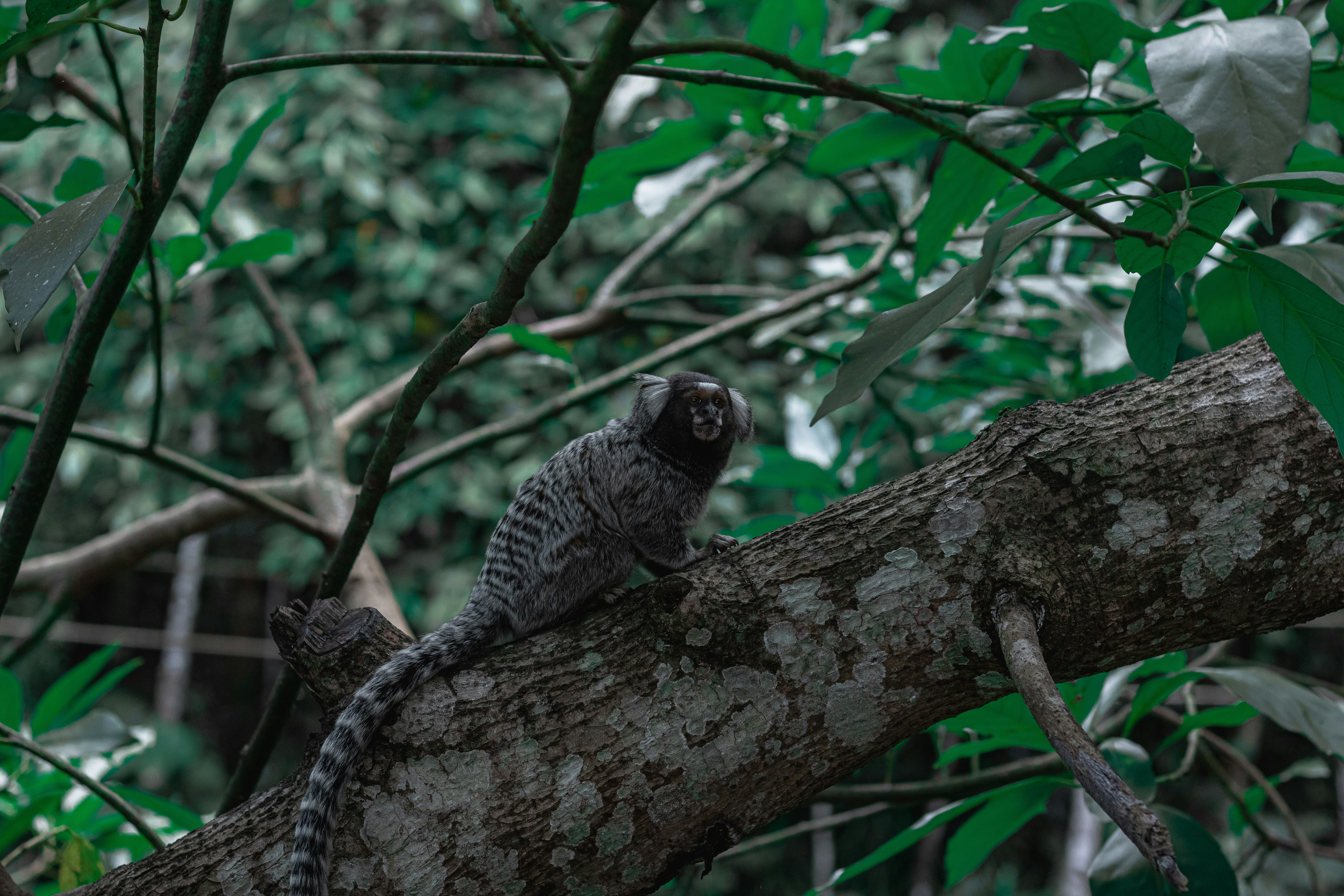 Photo by gabrieluizramos