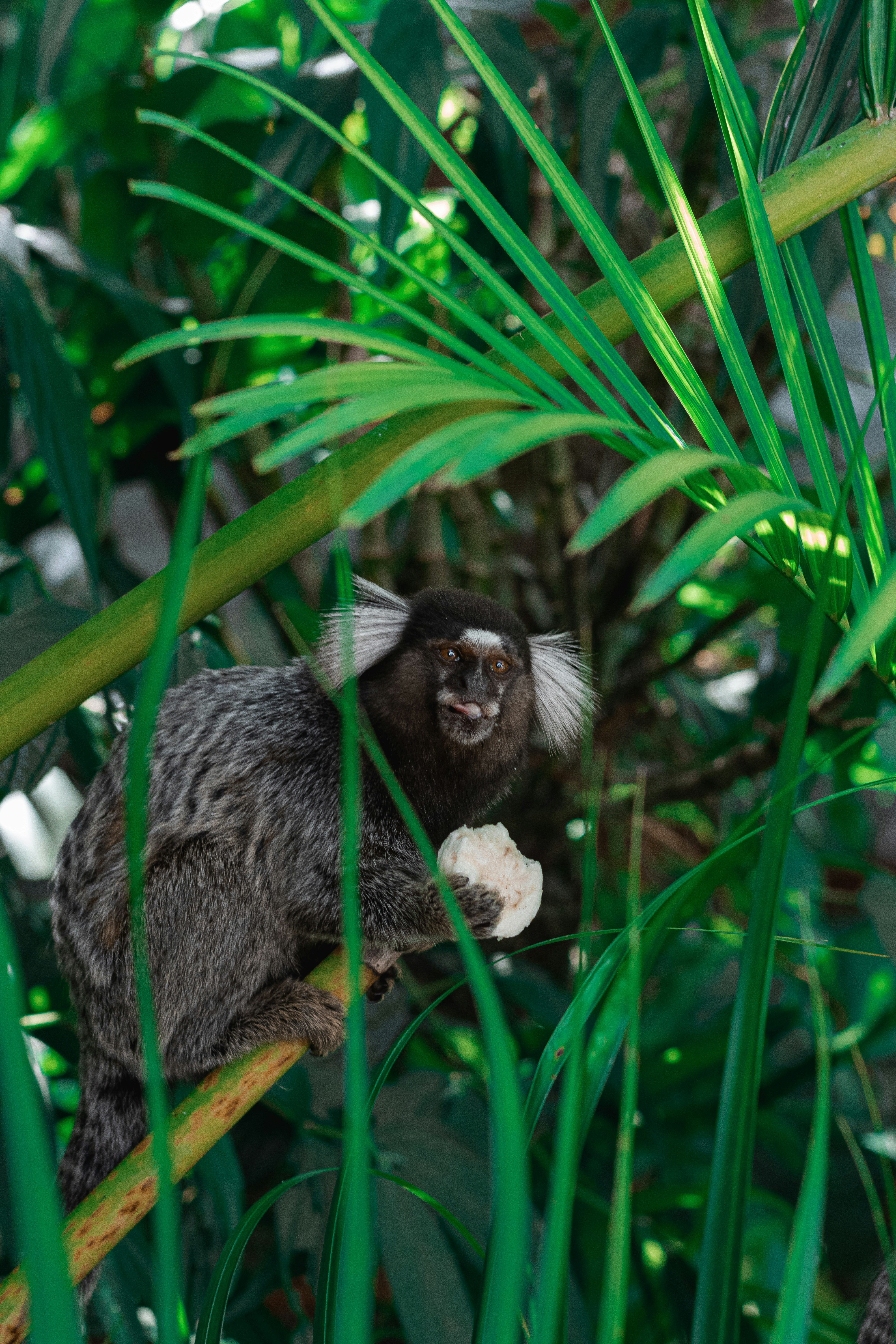 Photo by gabrieluizramos