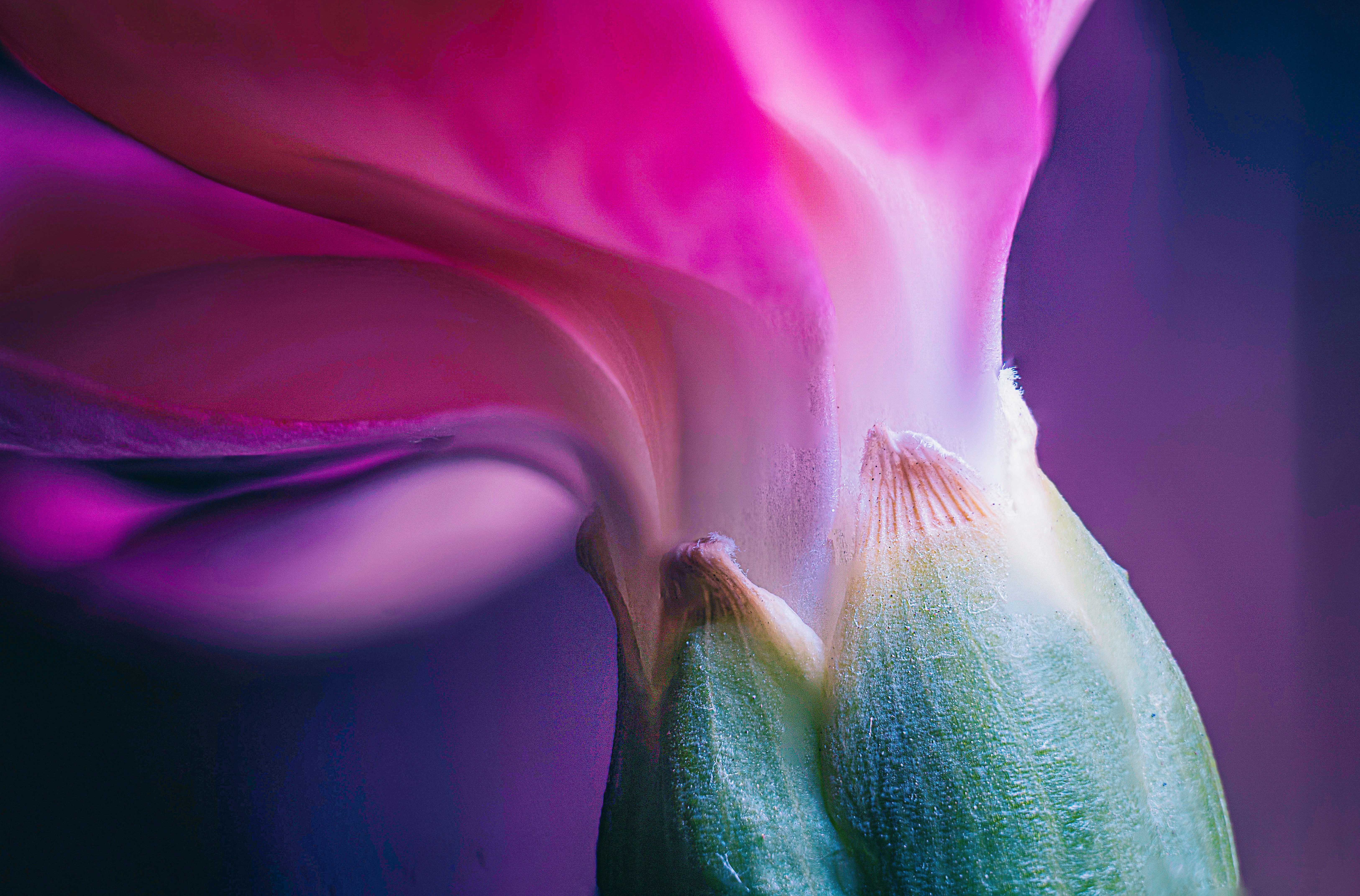 Photo by mharrisonphotography