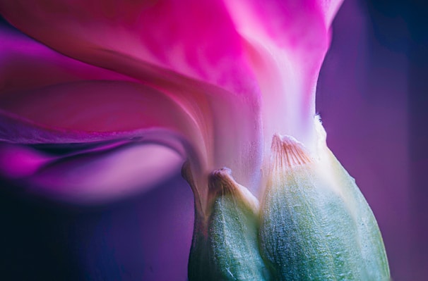Close-up of a giant opening flower showpiece mid-bloom, showcasing intricate textile details and 3D elements