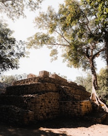 a stone structure with a tree growing out of it