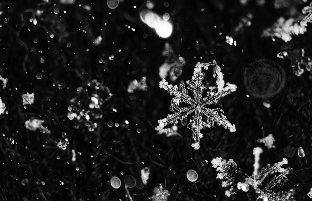 a black and white photo of a snowflake