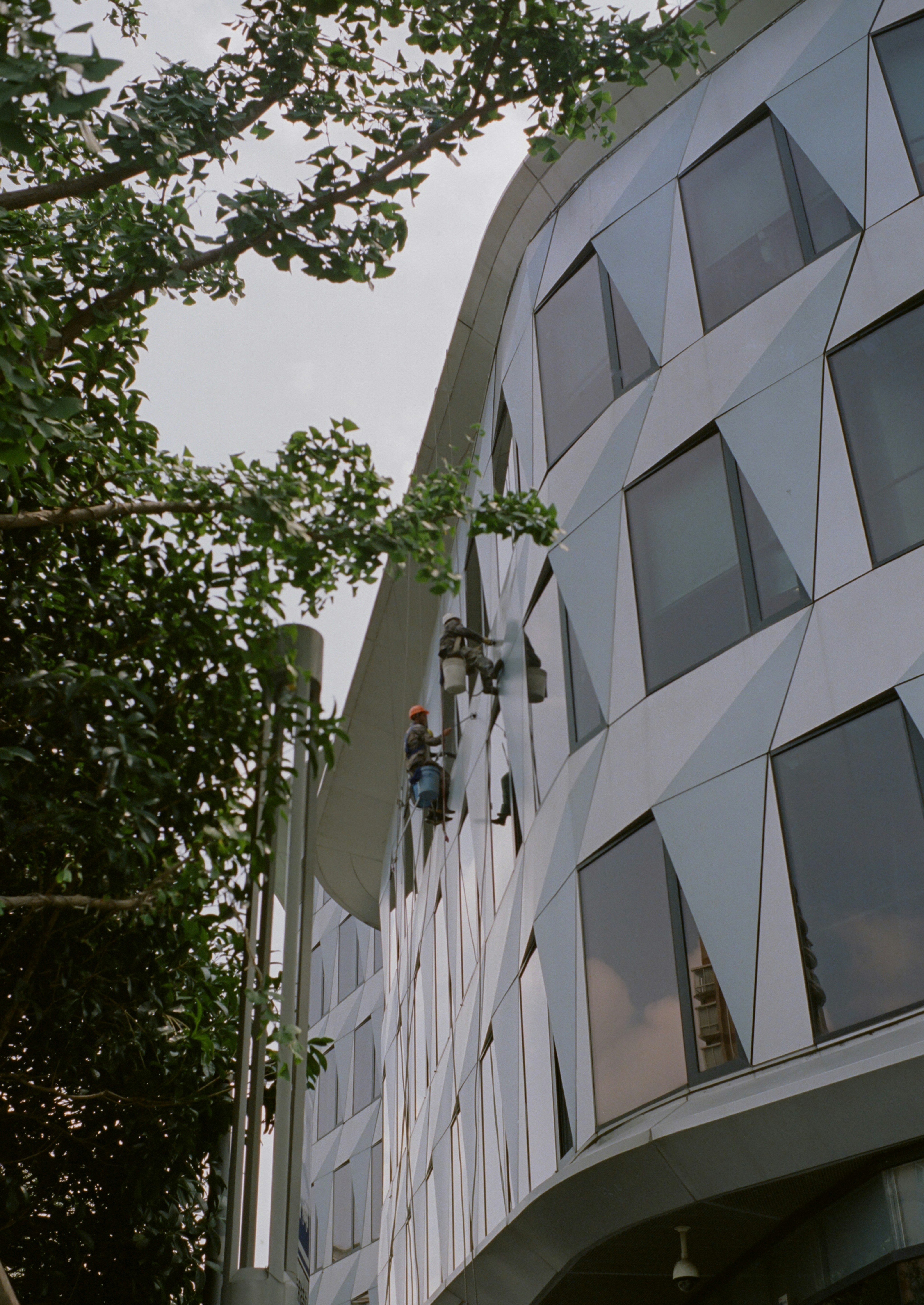 Photo by geraltyichen