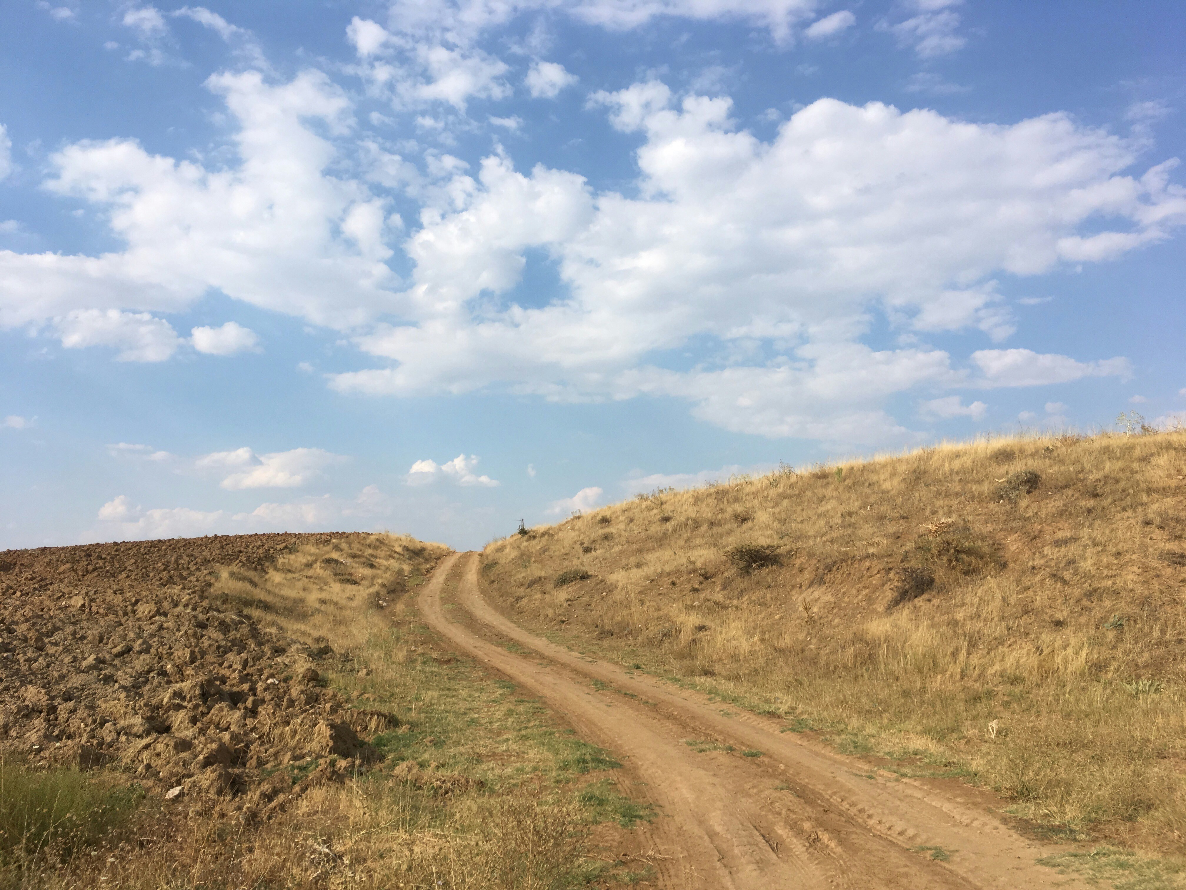 photo 1644890847609 bfe9d7783eb6?crop=entropy&cs=tinysrgb&fit=max&fm=jpg&ixid=M3w1MjQ0NjR8MHwxfHNlYXJjaHwzfHxTaWxrJTIwUm9hZHxlbnwwfDB8fHwxNzUyMjU4NTMyfDA&ixlib=rb 4.1