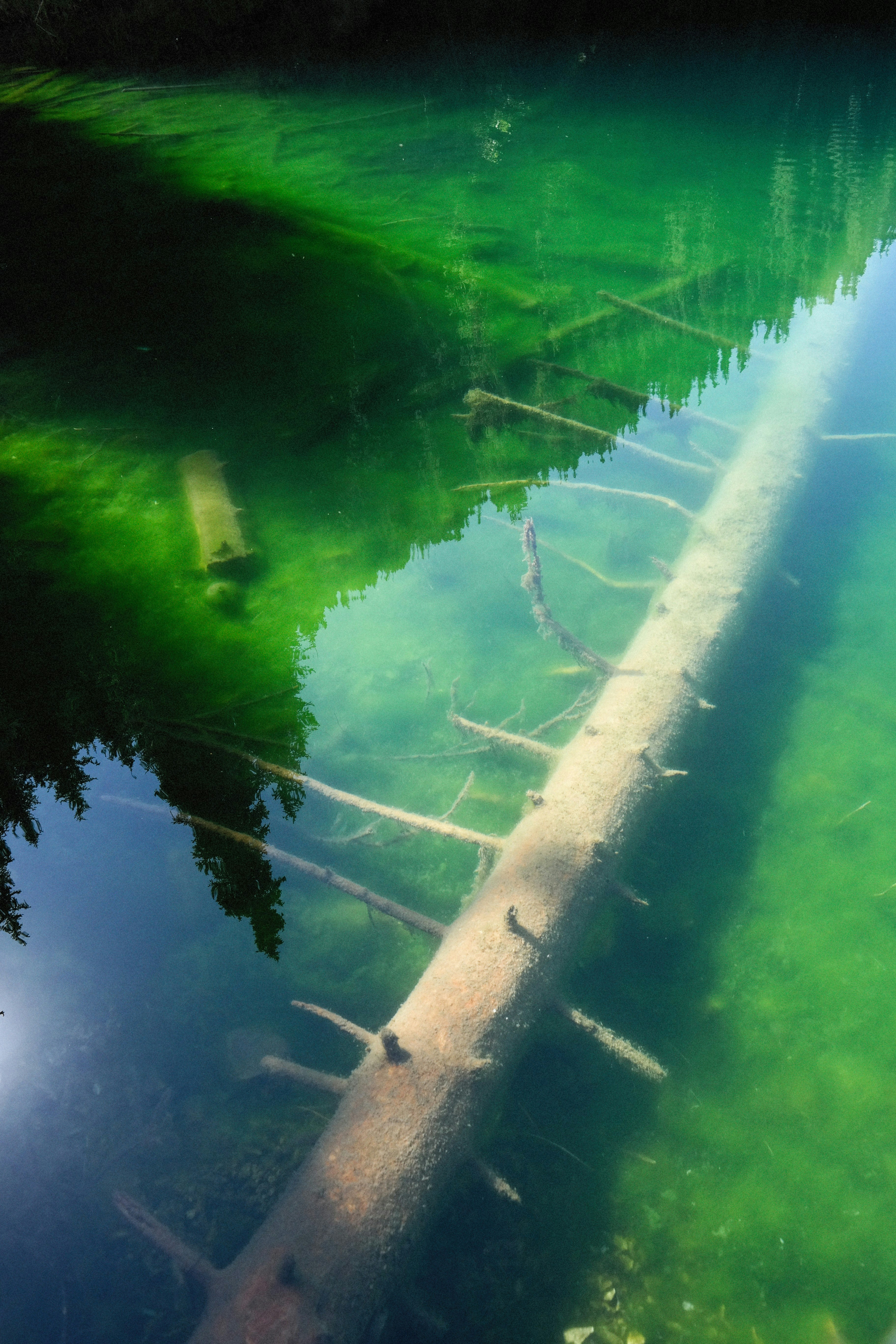 Photo by alexeydemidov