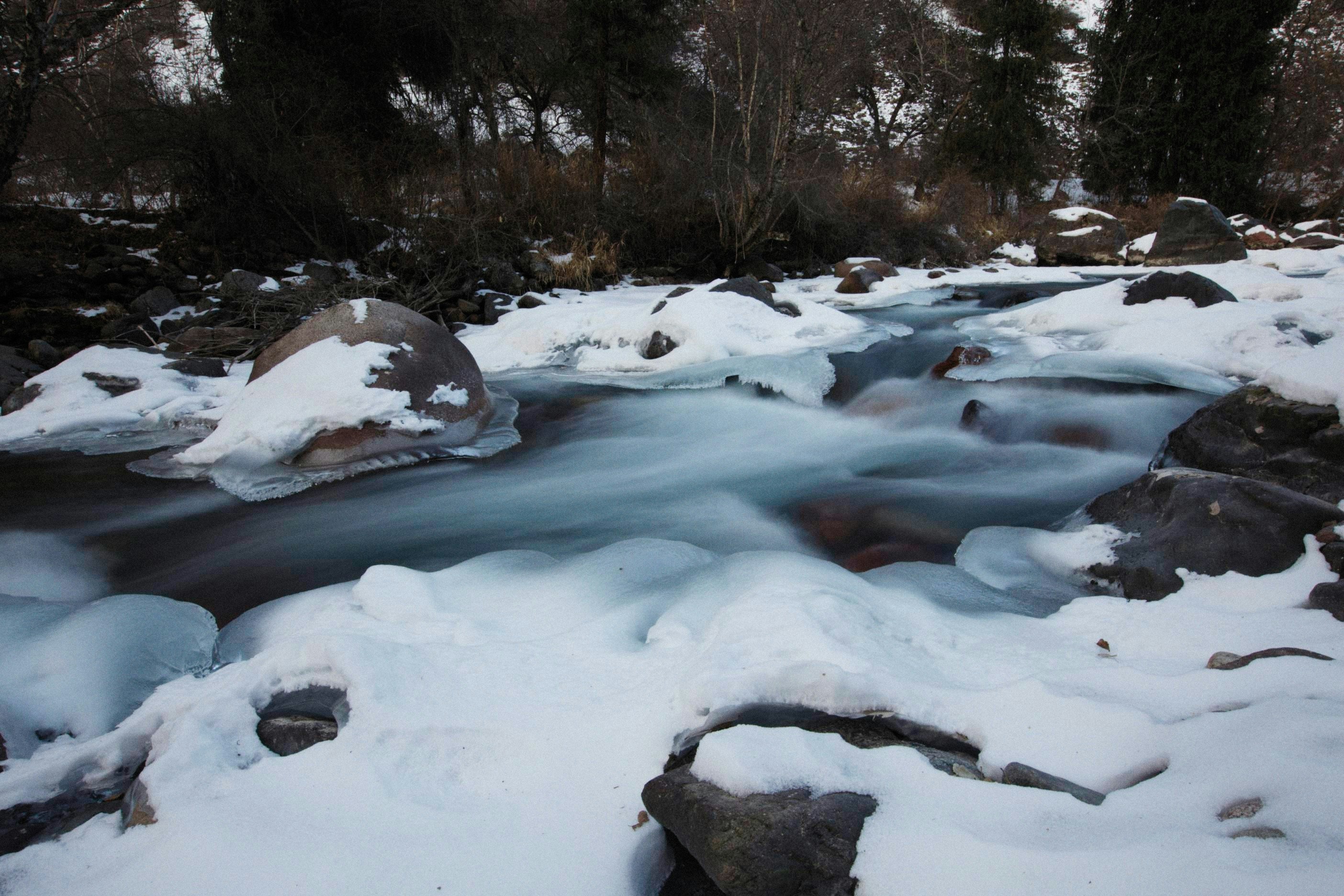 Photo by alexeydemidov