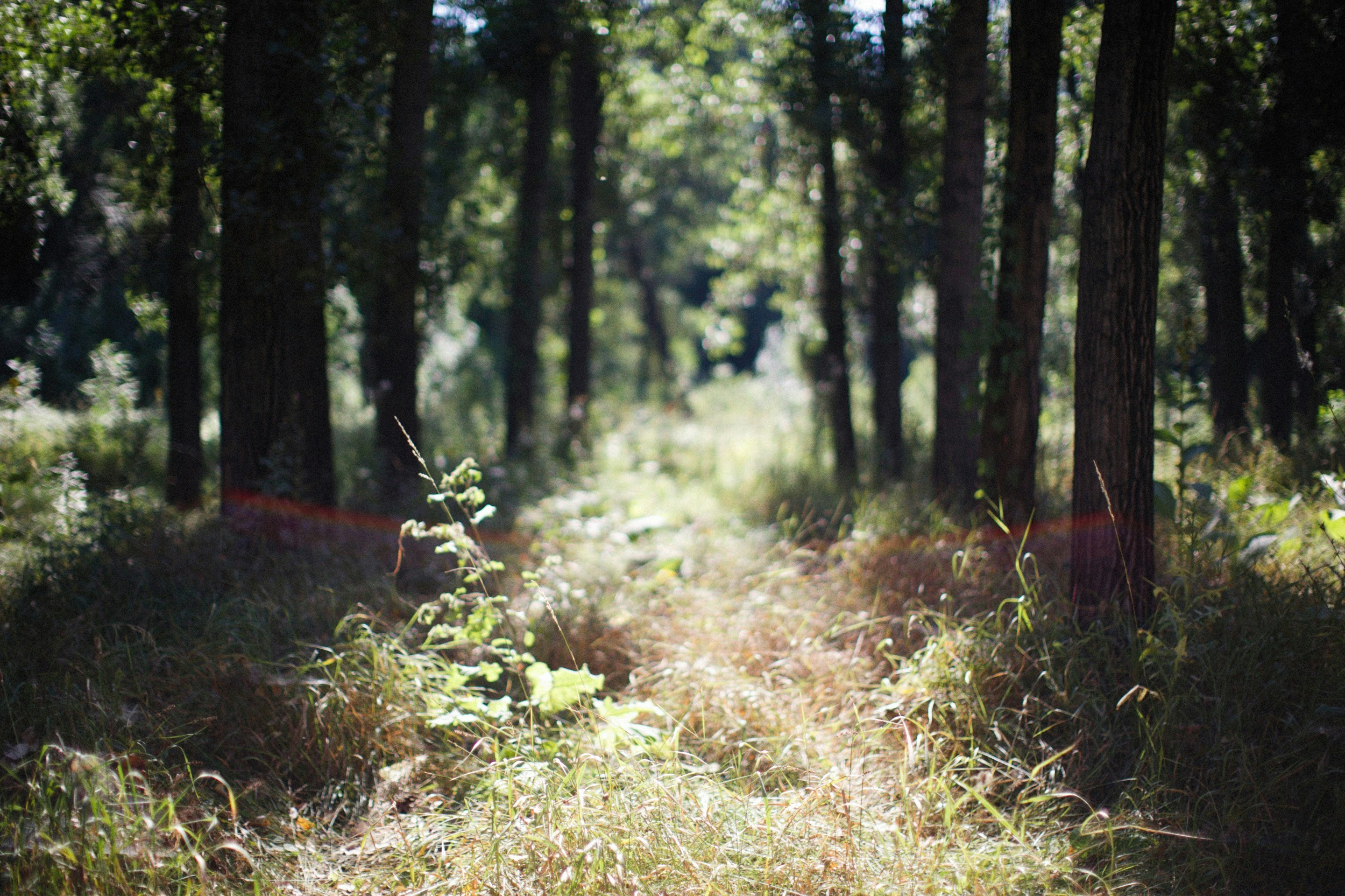 Photo by alexeydemidov