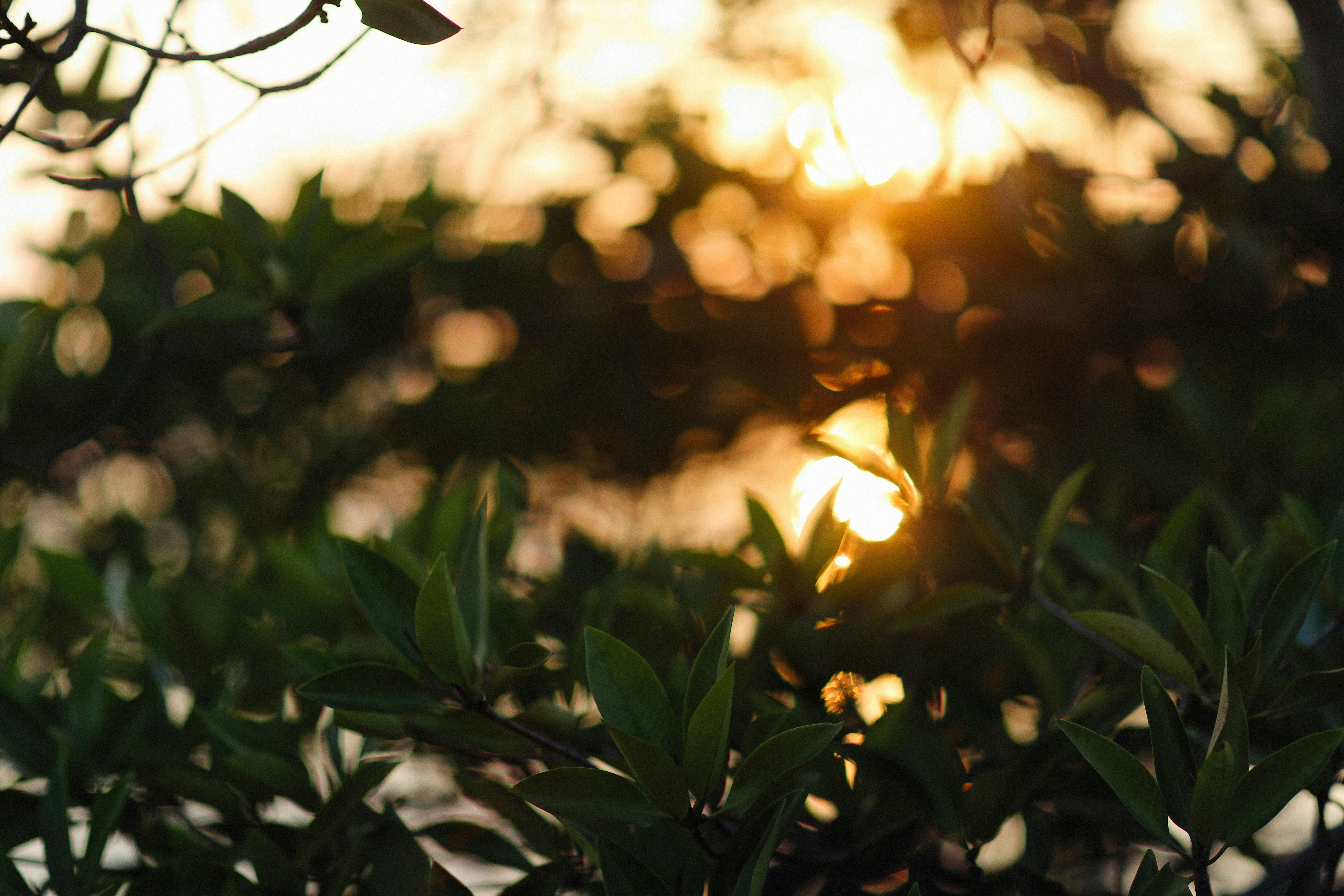 Photo by alexeydemidov