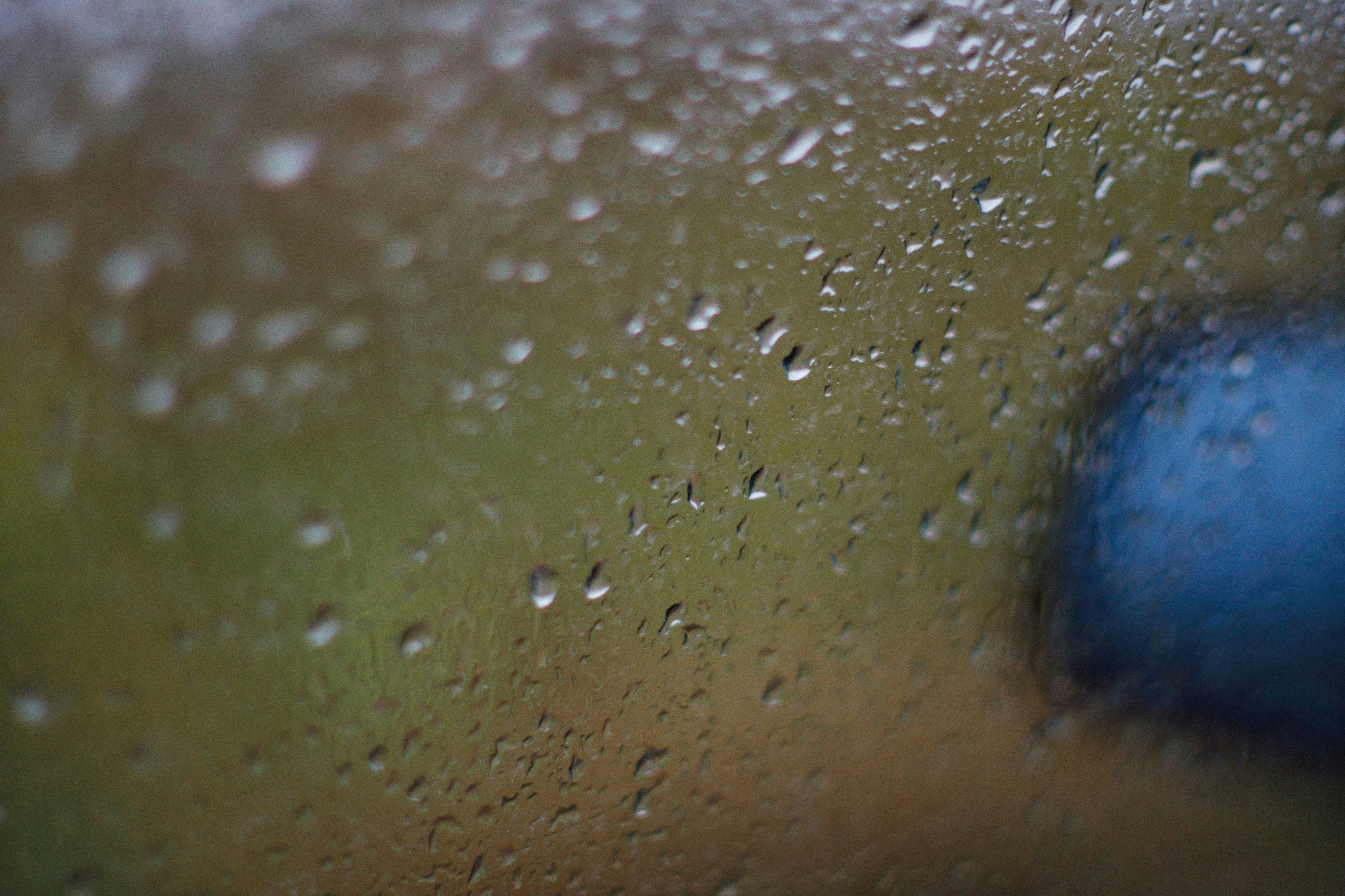 Photo by alexeydemidov