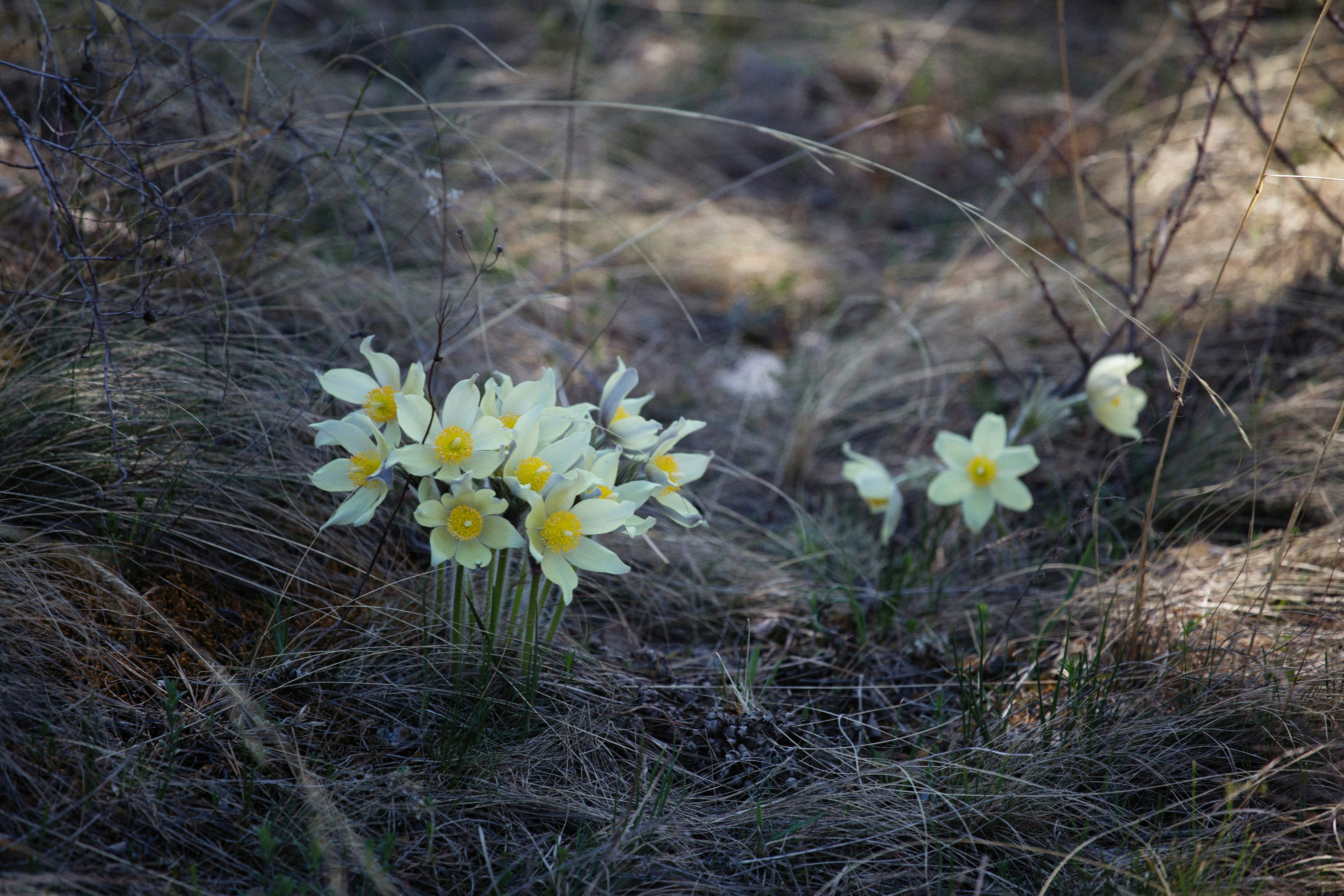 Photo by alexeydemidov