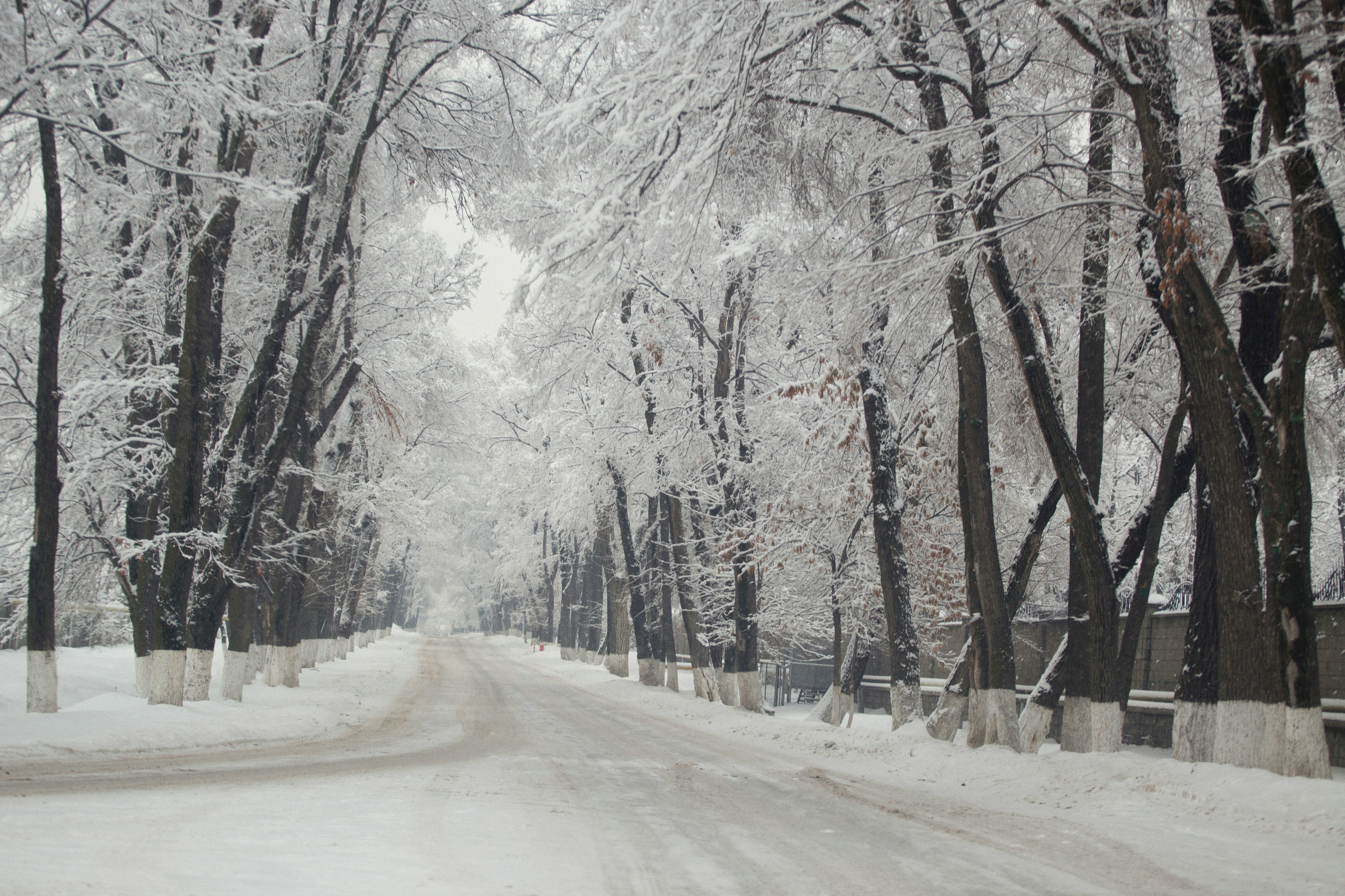 Photo by alexeydemidov