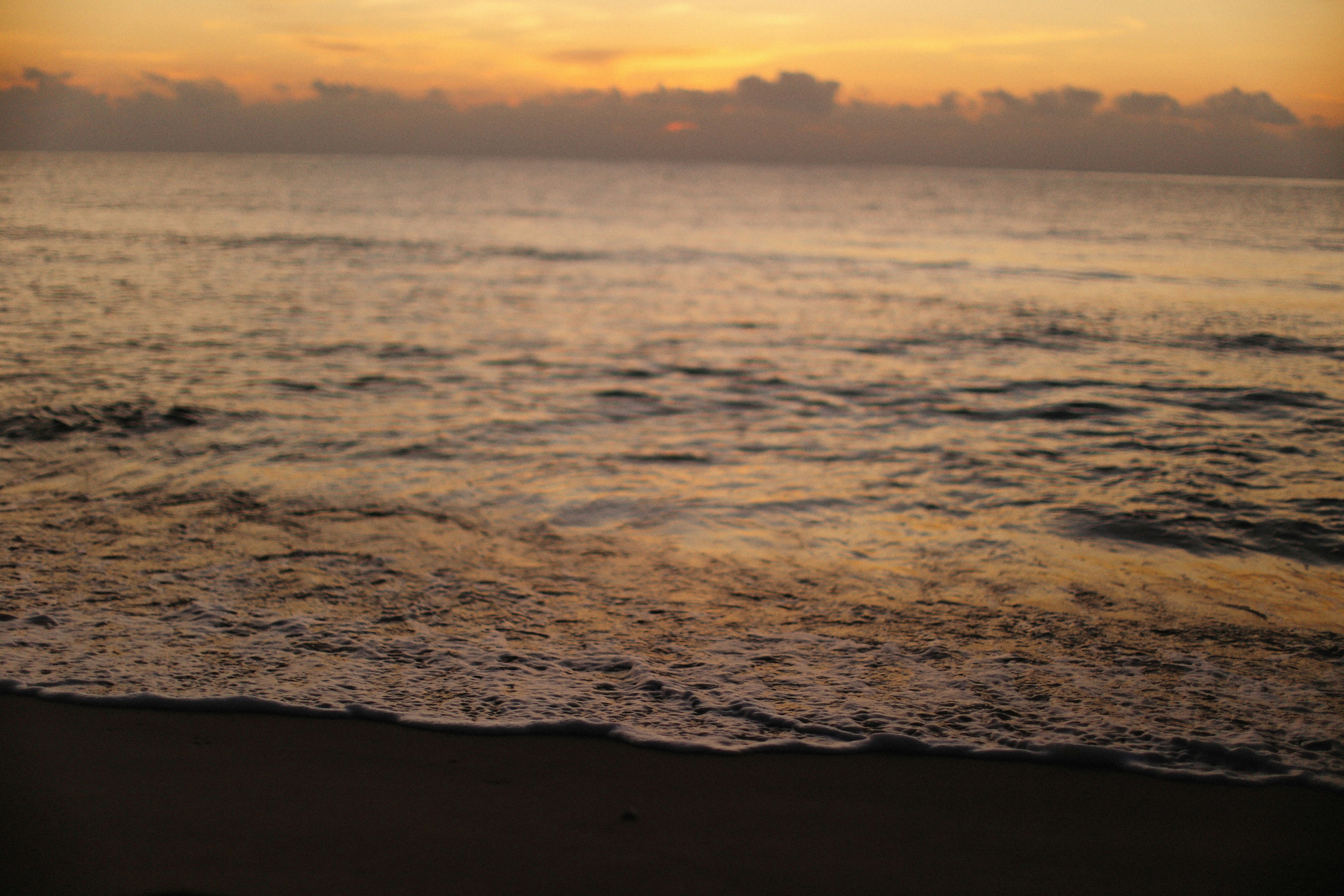 Image de Plages corses et beats électro : plongez dans l’univers Sea Lounge Ritual