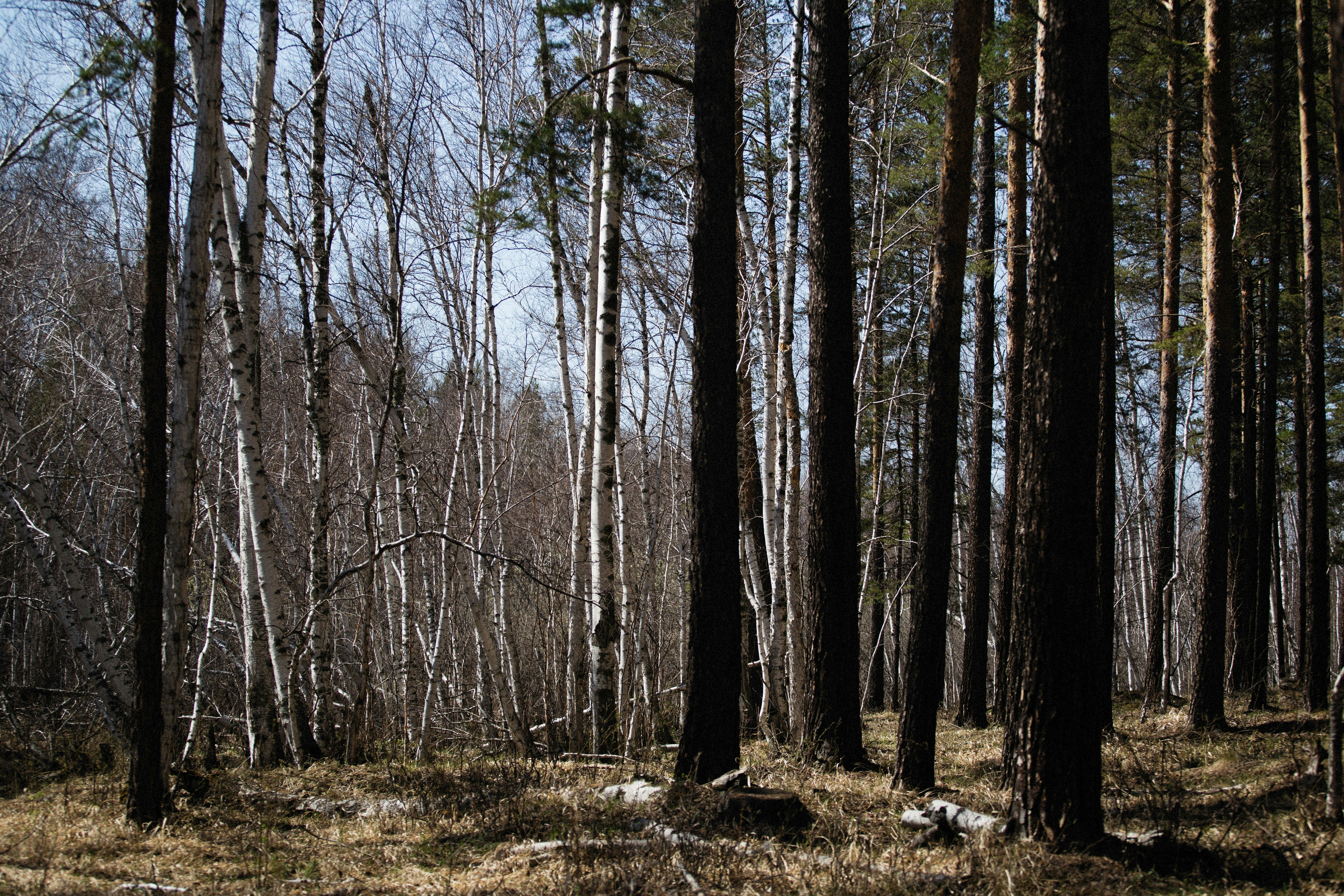 Photo by alexeydemidov