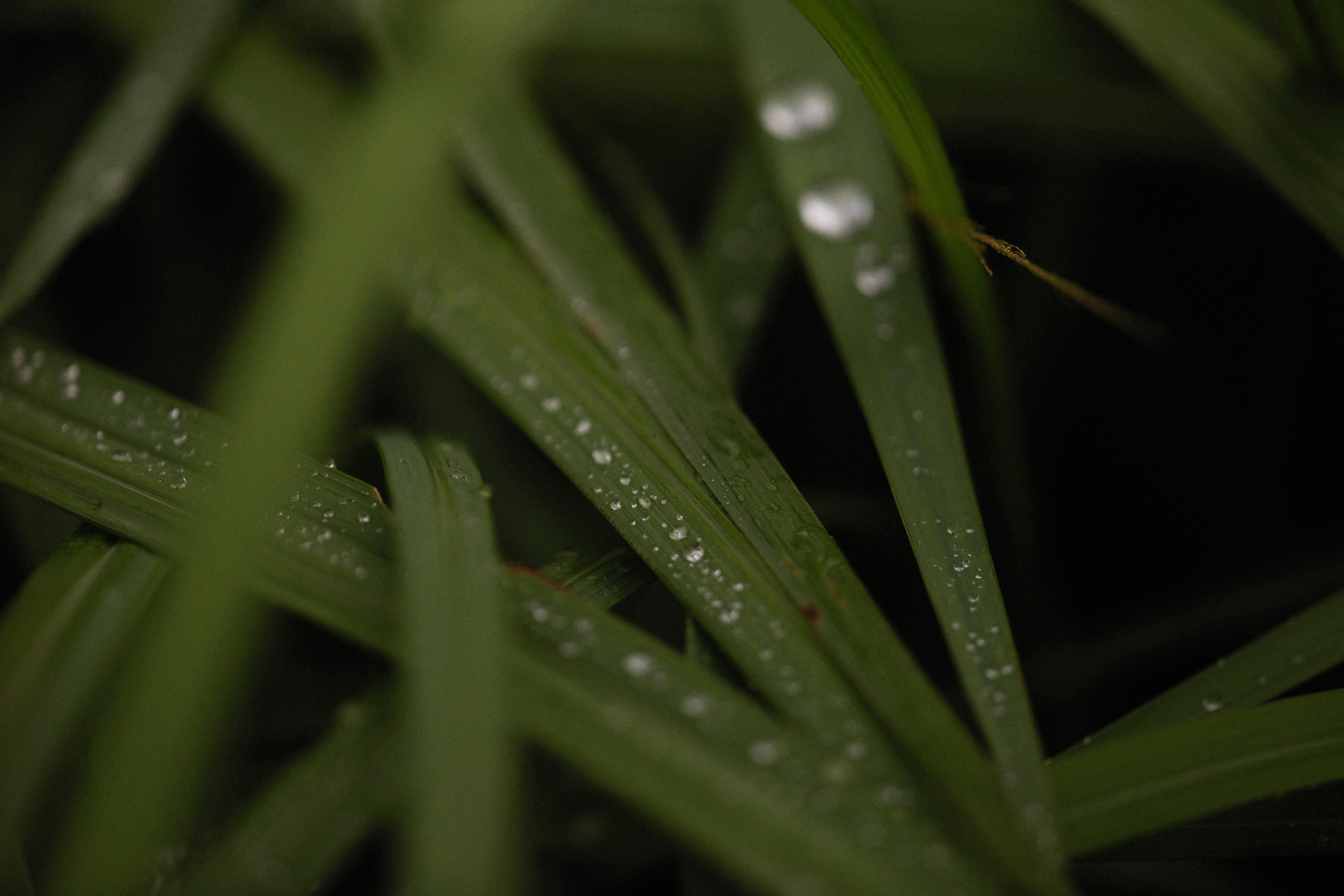 Photo by alexeydemidov