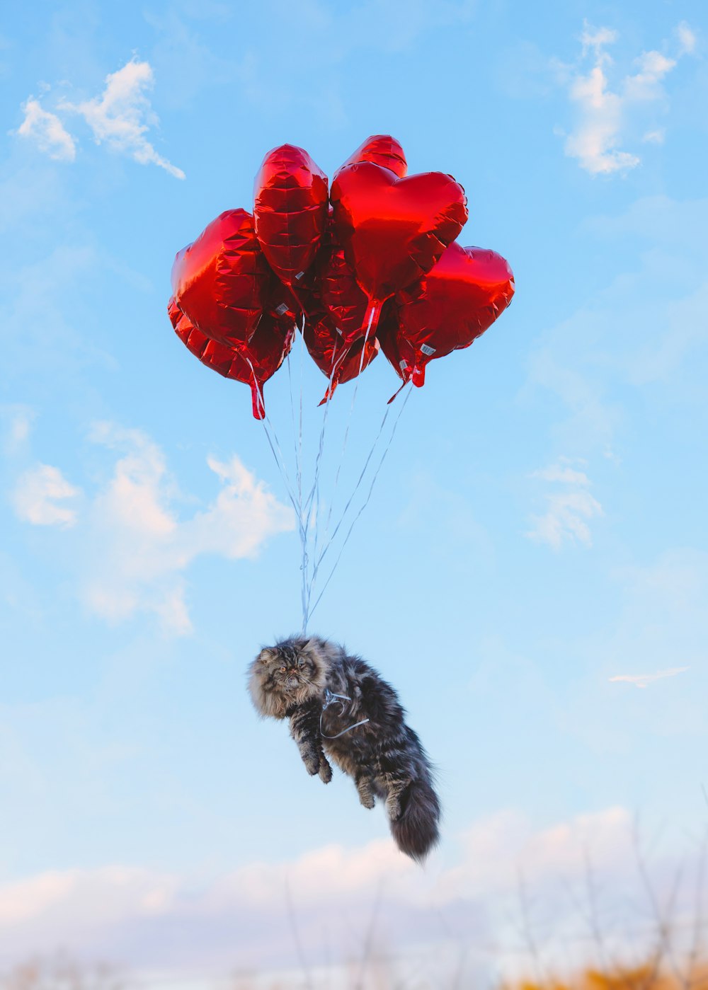 Un mazzo di palloncini rossi a forma di cuore che fluttuano nell'aria