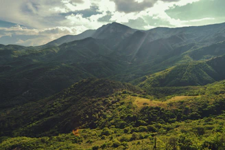 a scenic view of a mountain range with green trees