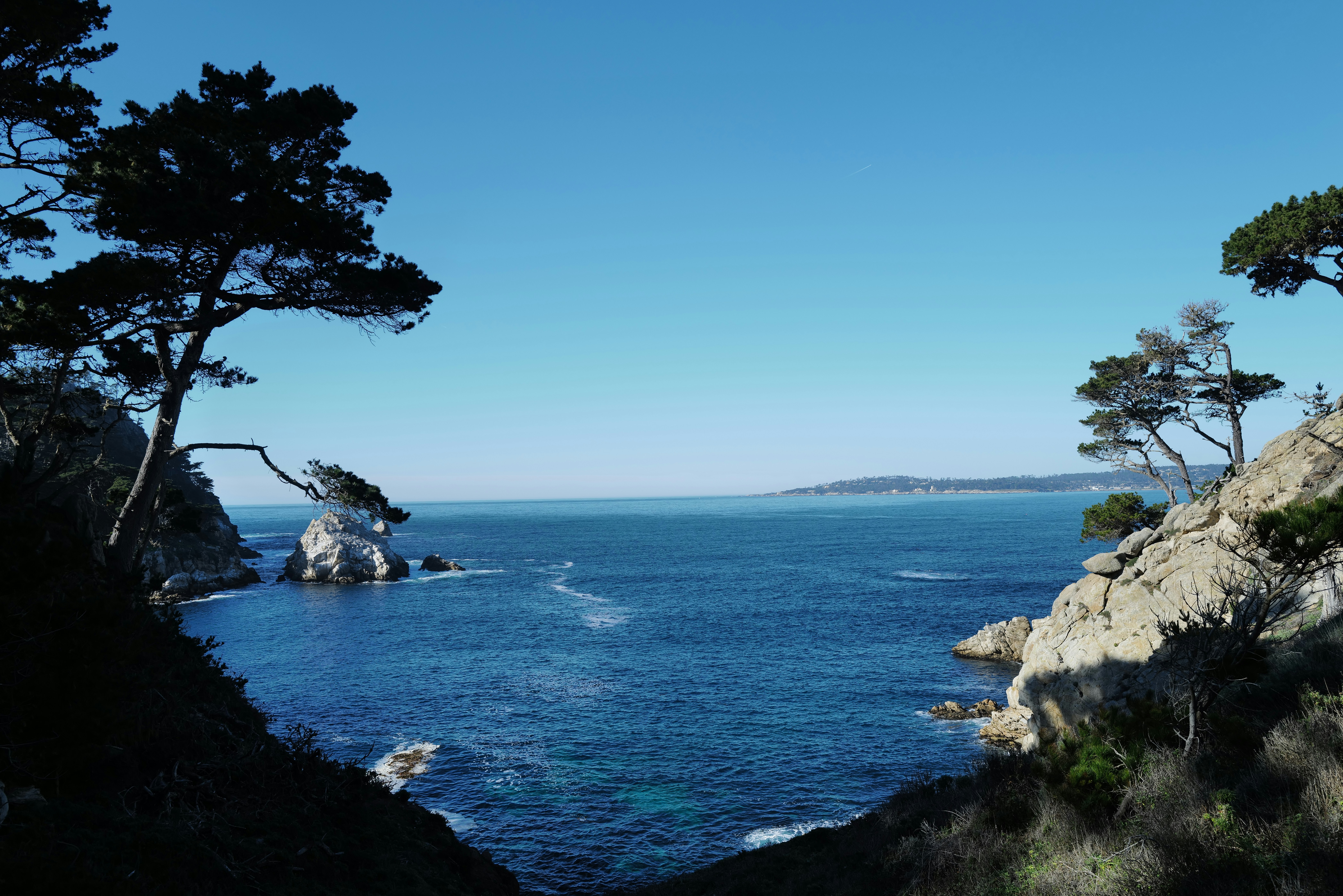 a body of water surrounded by trees and rocks