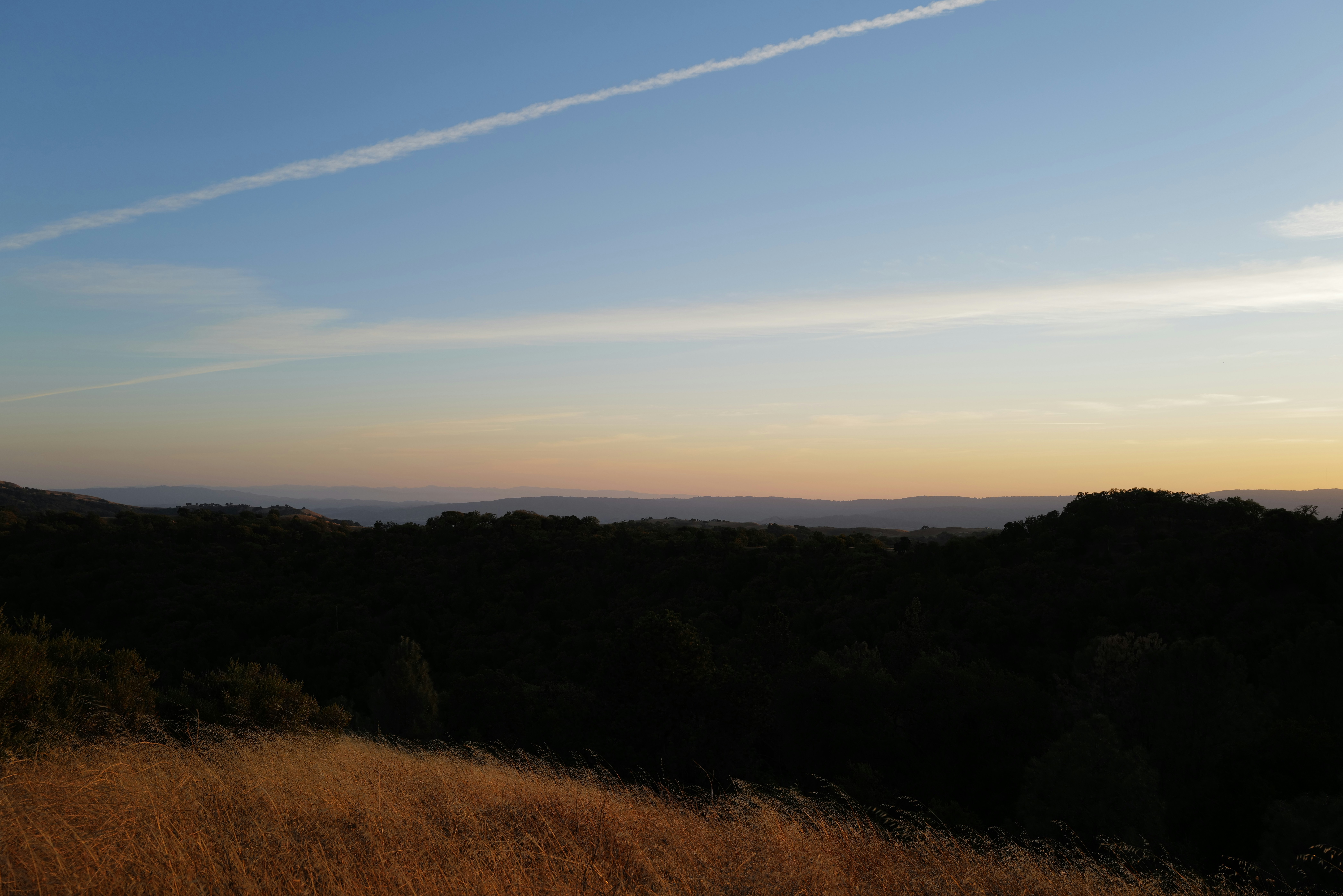 Photo by mostlycogent