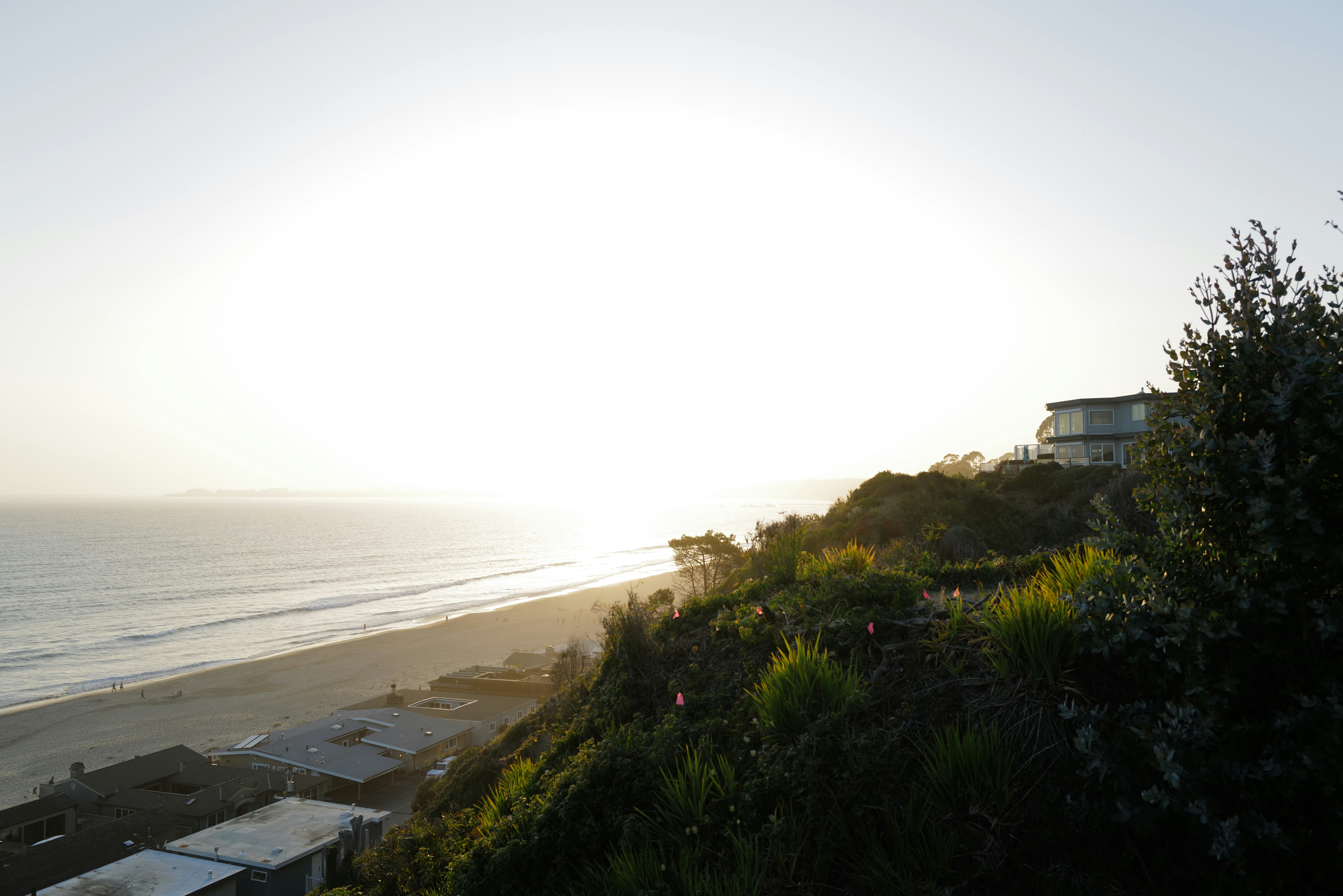 Photo by mostlycogent