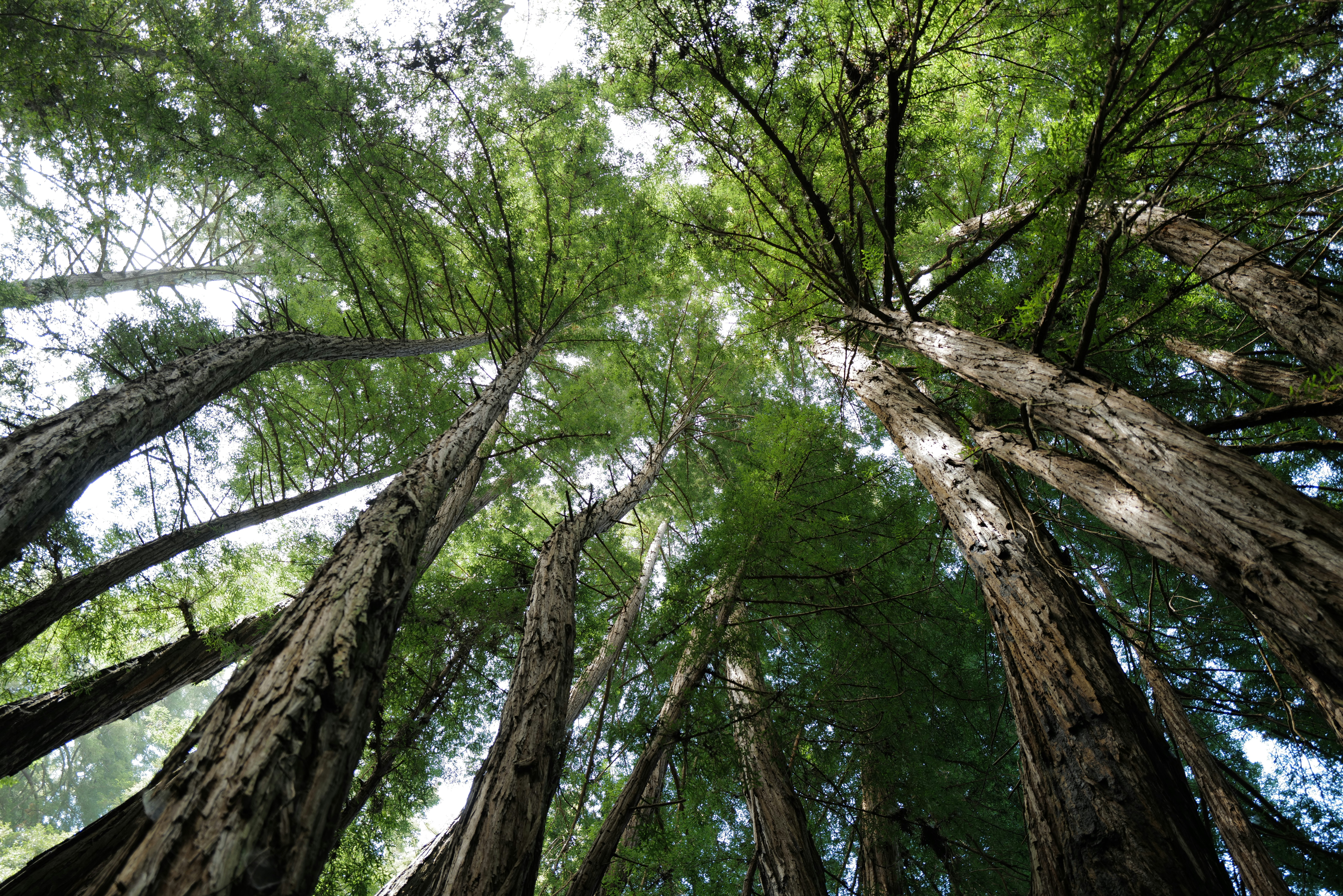 Photo by mostlycogent