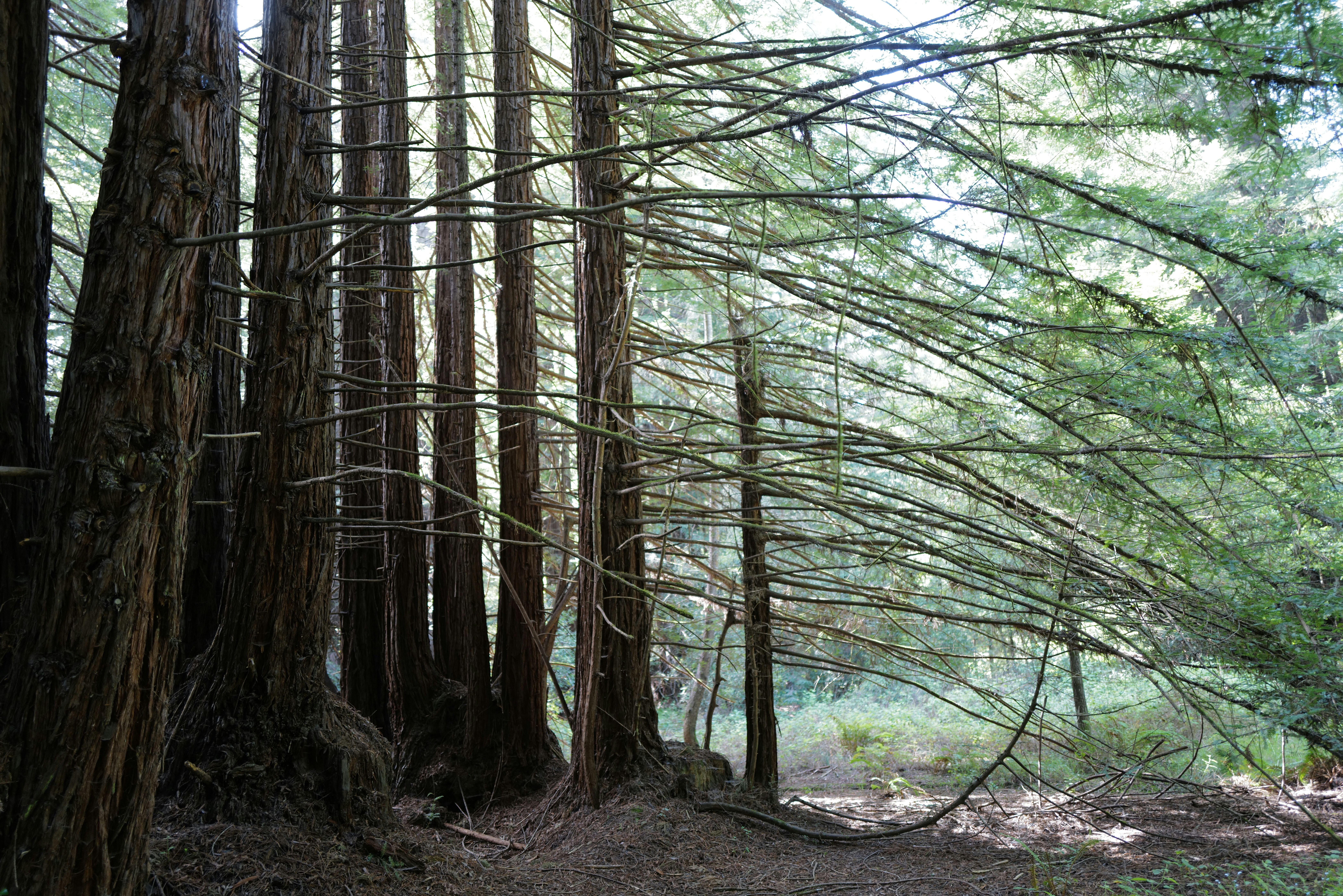 Photo by mostlycogent