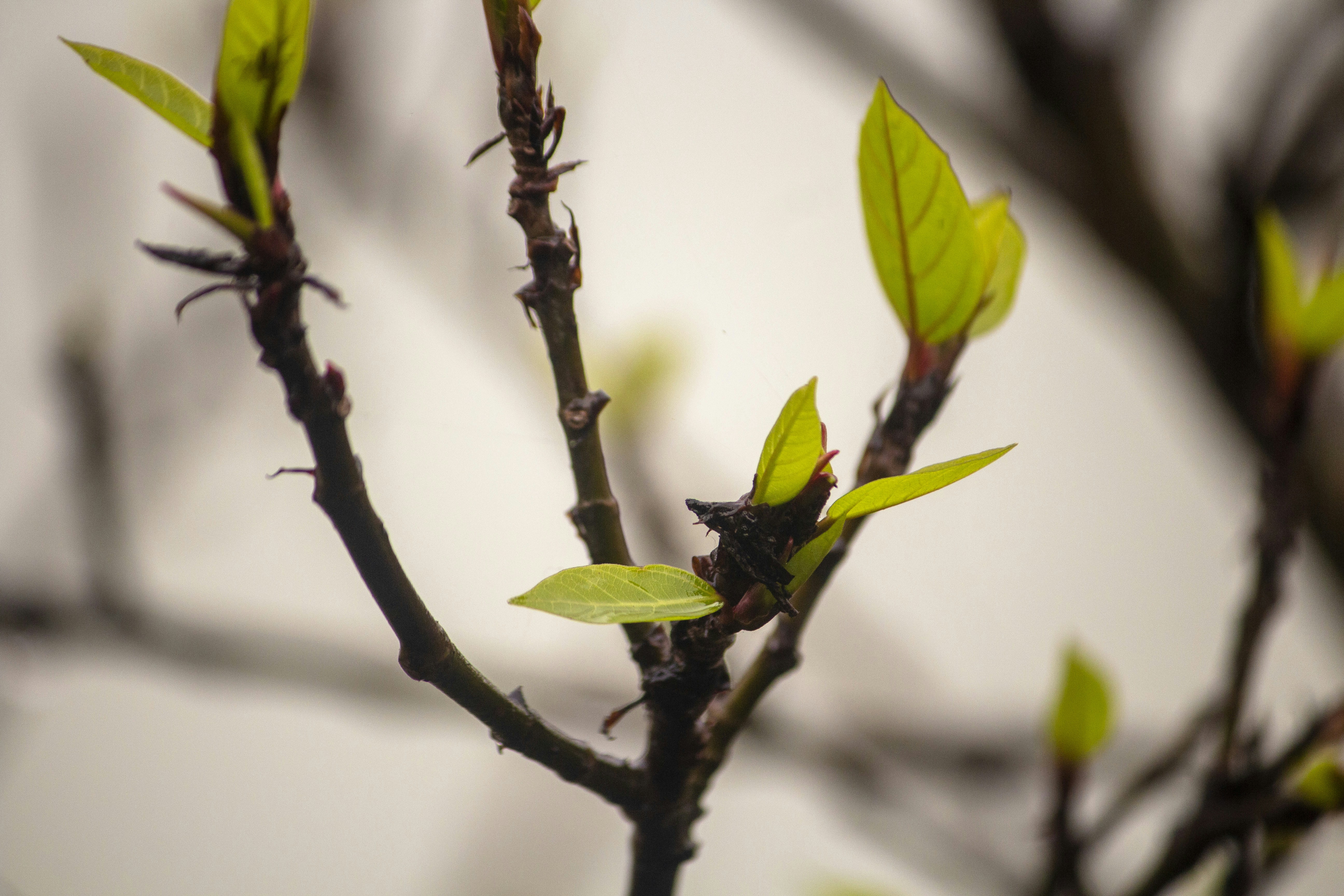 Photo by imagewaladevil_01